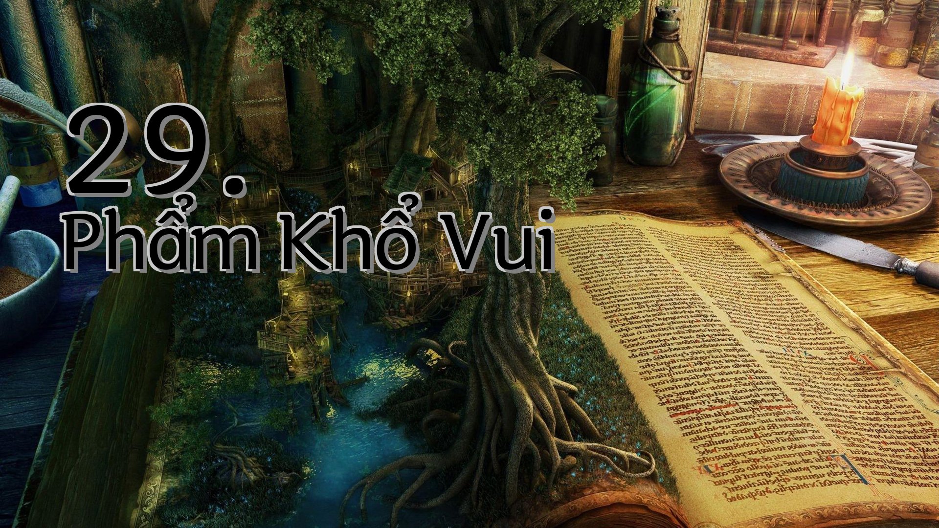 cover-29. Phẩm Khổ Vui