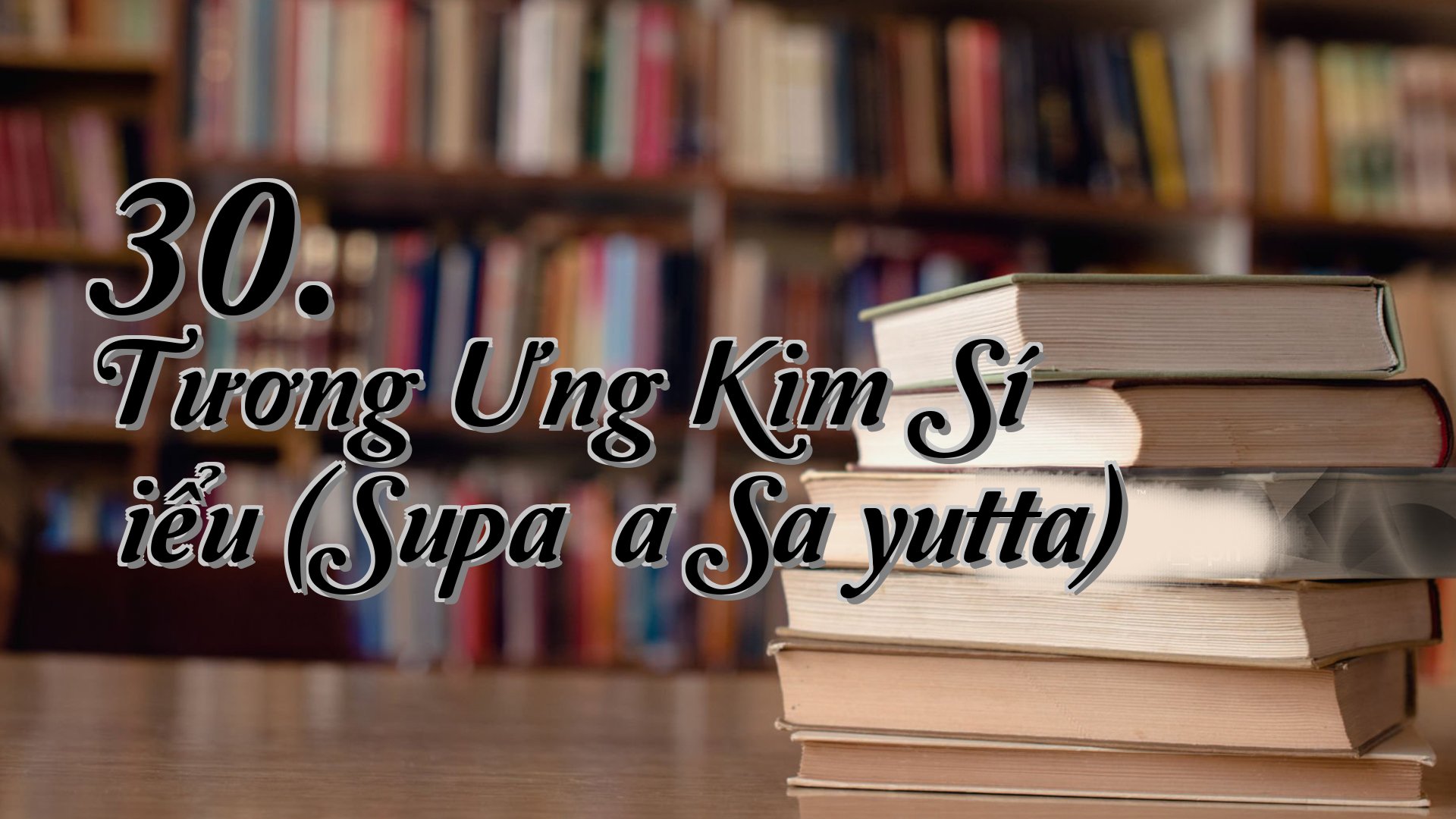 cover-30. Tương Ưng Kim Sí Ðiểu (Supaṇṇa Saṃyutta)