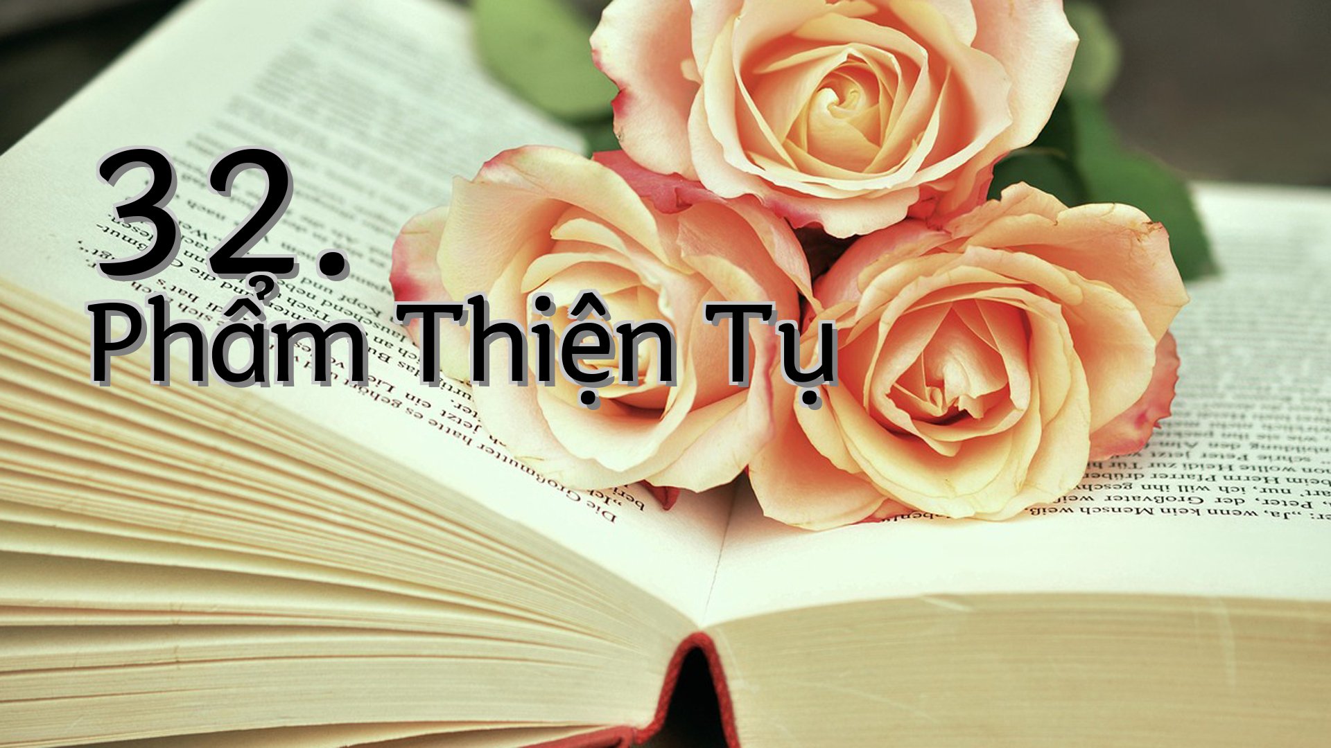 cover-32. Phẩm Thiện Tụ