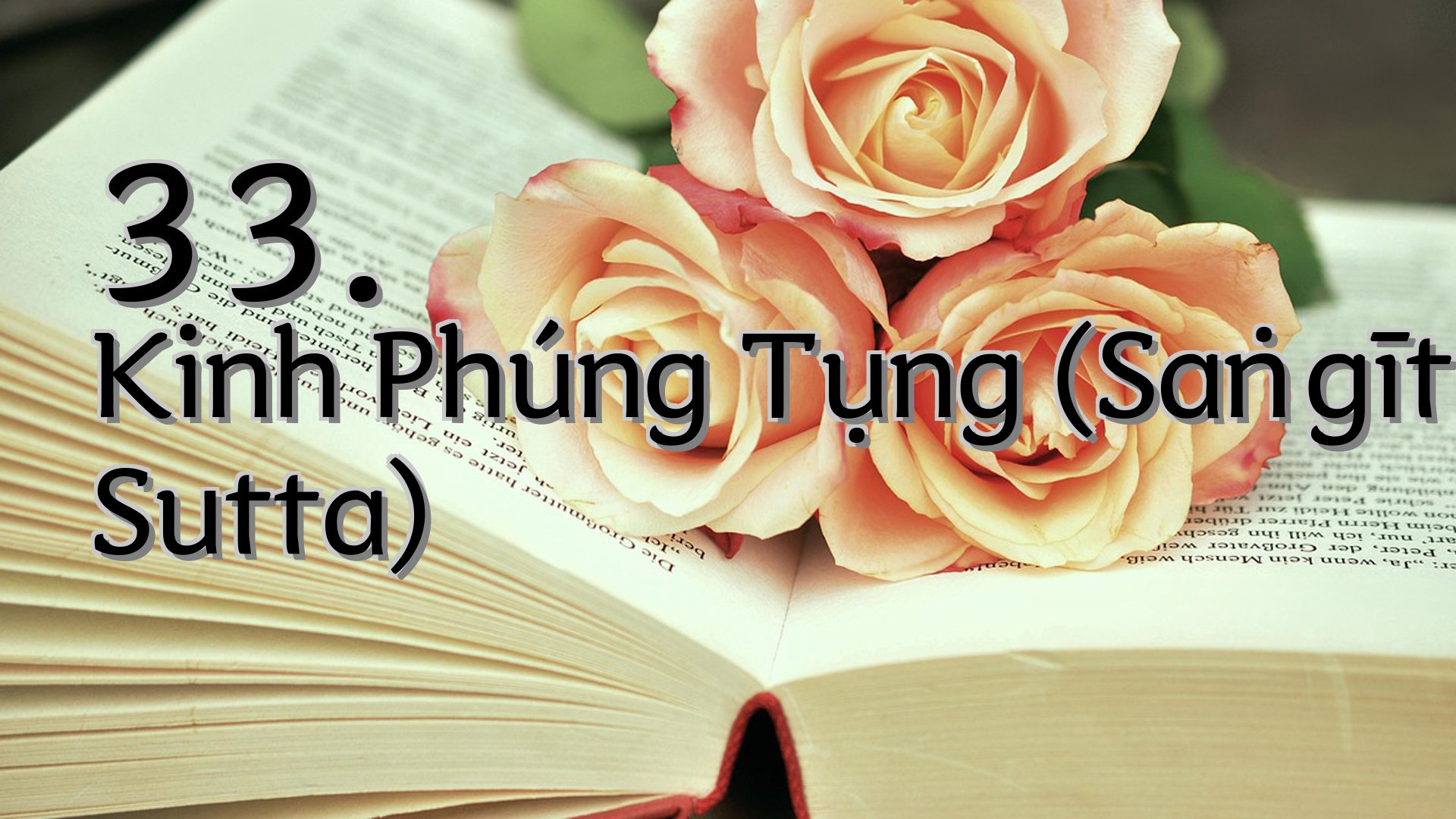 cover-33. Kinh Phúng Tụng (Saṅgīti Sutta)