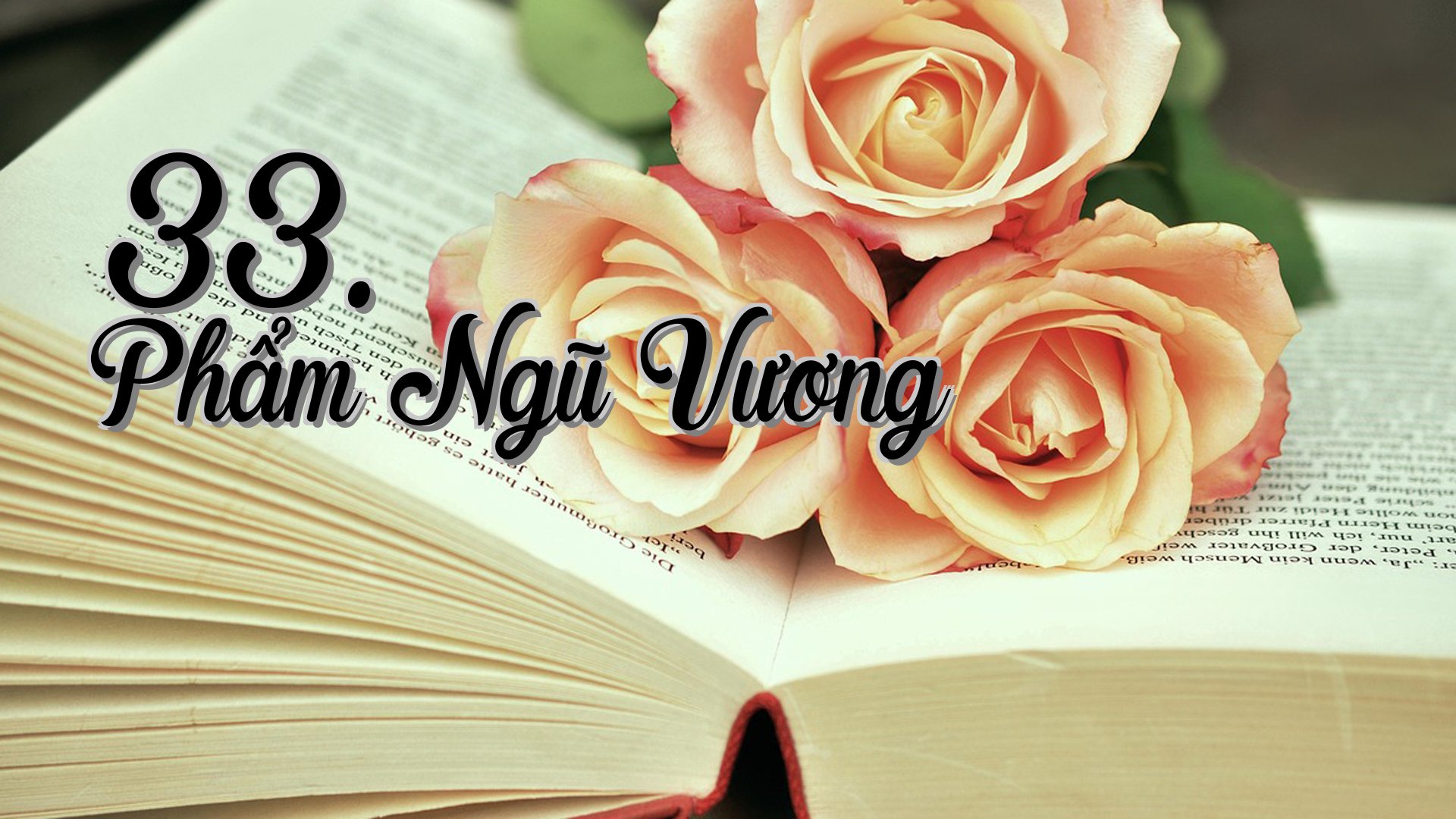 cover-33. Phẩm Ngũ Vương