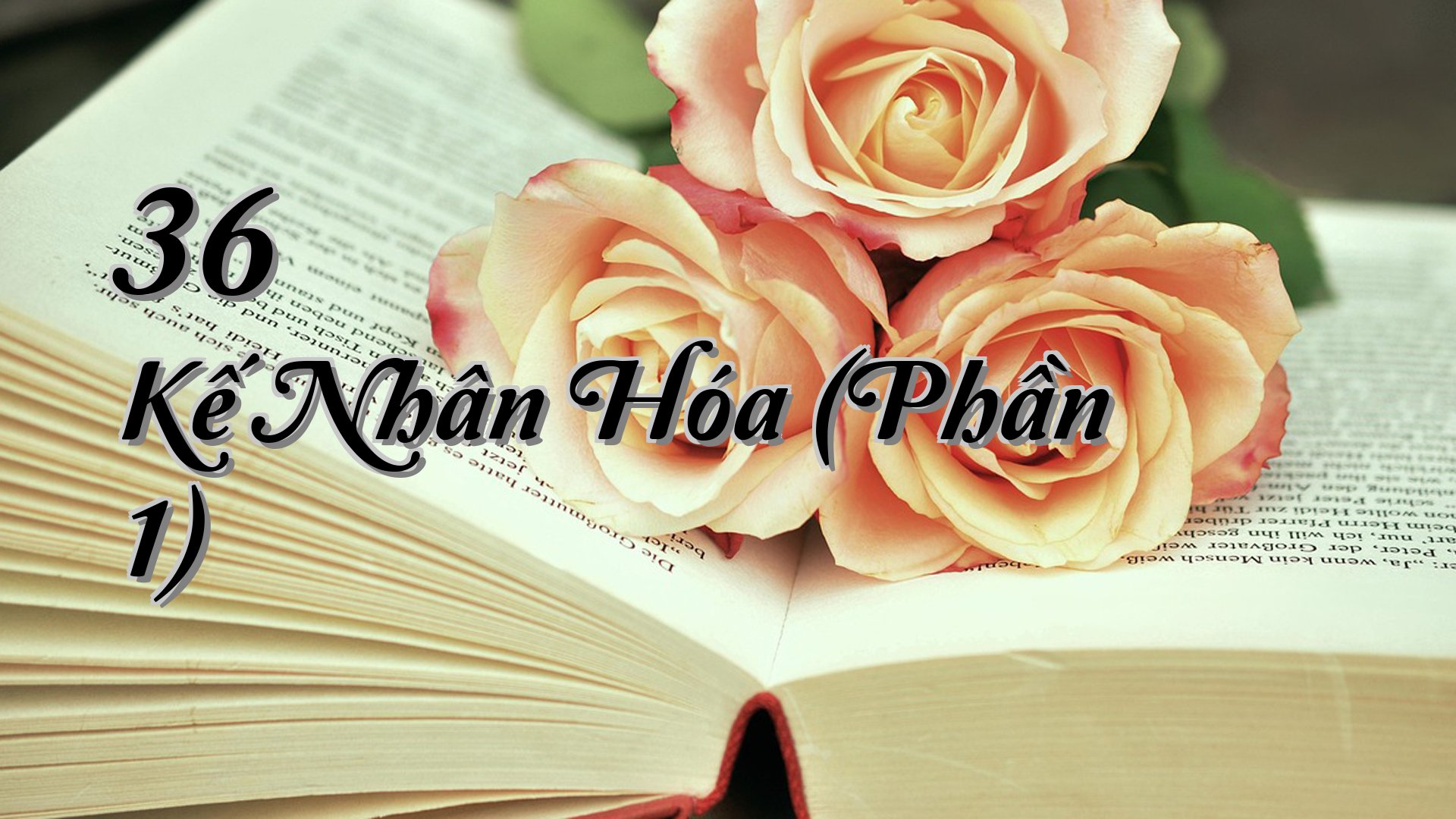 cover-36 Kế Nhân Hóa (Phần 1)