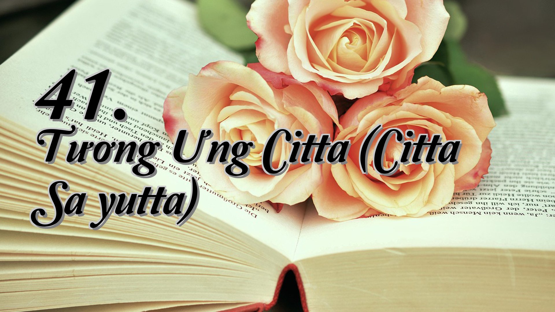 cover-41. Tương Ưng Citta (Citta Saṃyutta)