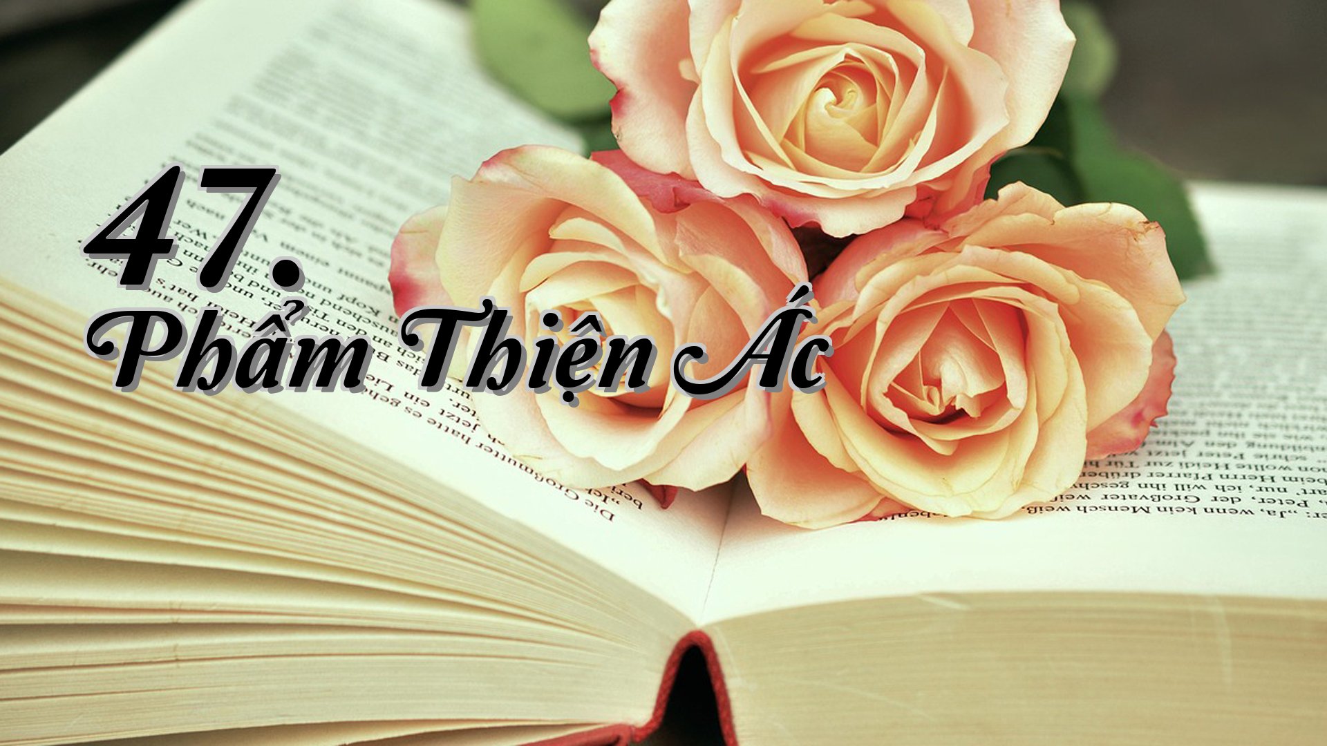 cover-47. Phẩm Thiện Ác