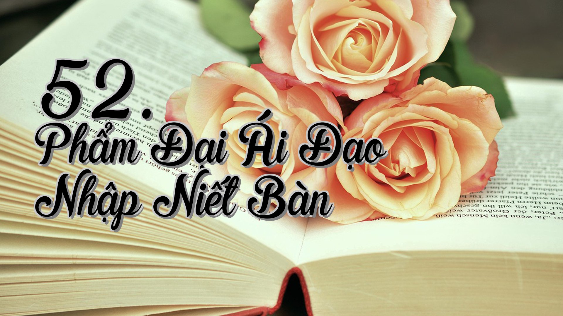 cover-52. Phẩm Đại Ái Đạo Nhập Niết Bàn