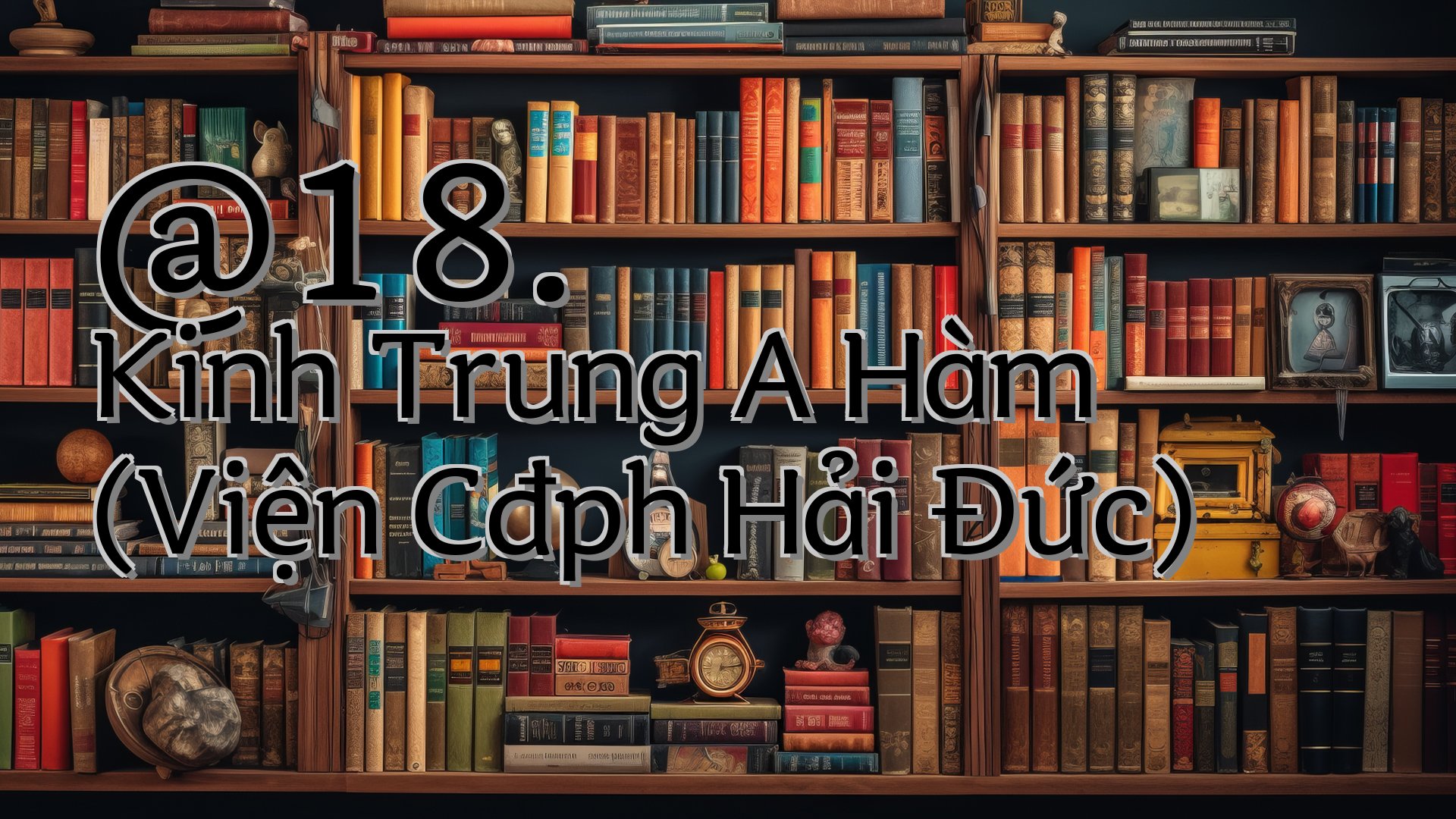 cover-@18. Kinh Trung A Hàm (Viện Cđph Hải Đức)
