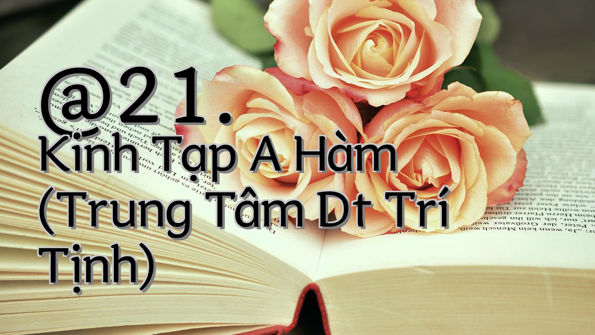 cover-@21. Kinh Tạp A Hàm (Trung Tâm Dt Trí Tịnh)