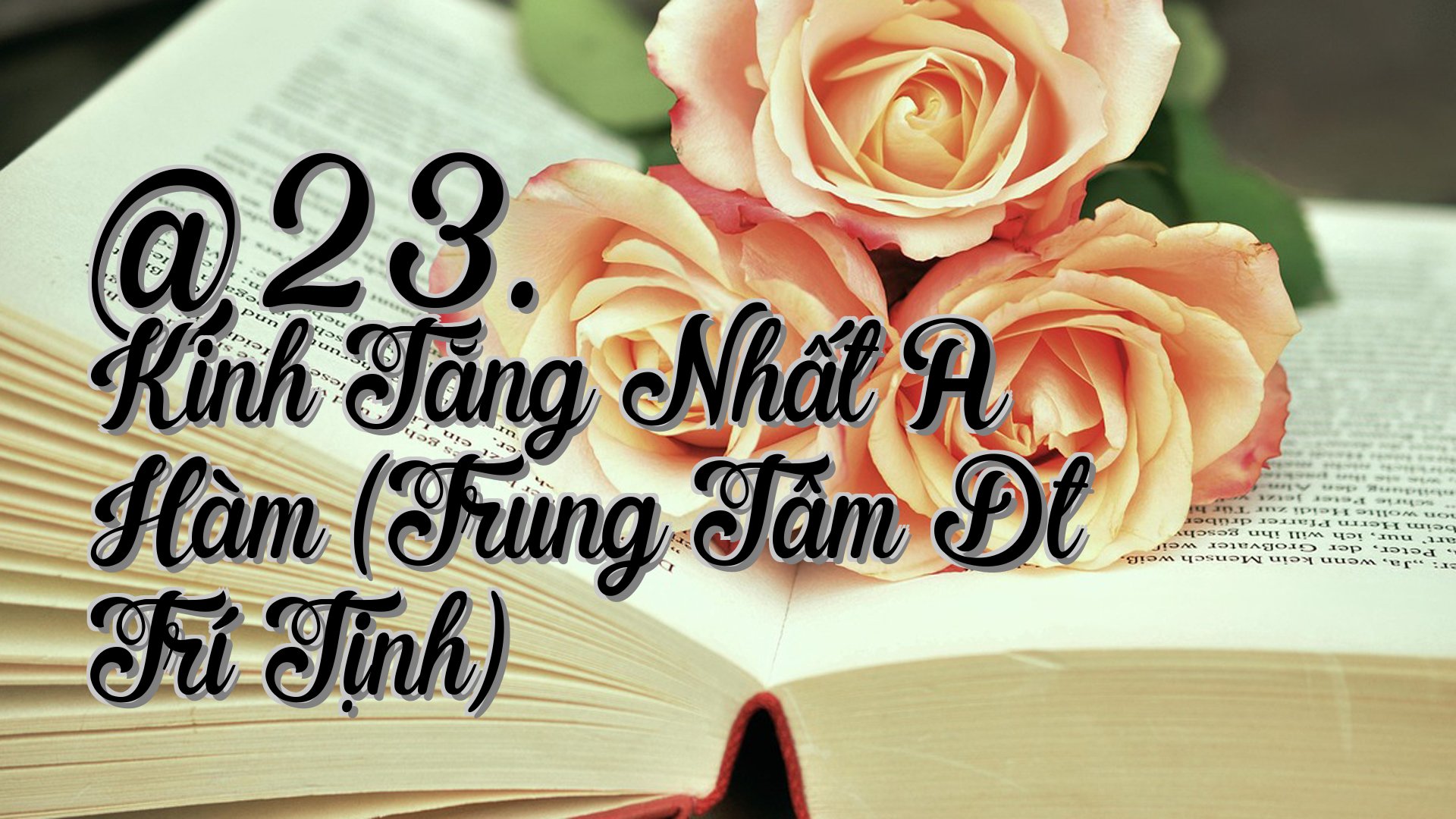 cover-@23. Kinh Tăng Nhất A Hàm (Trung Tâm Dt Trí Tịnh)