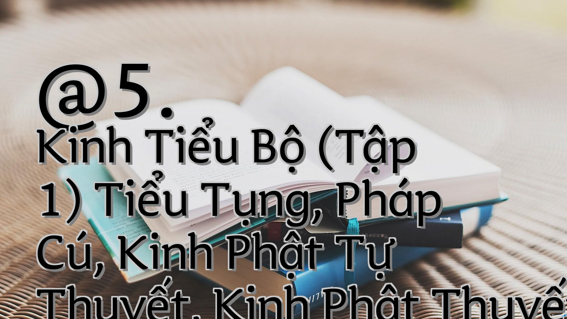 cover-@5. Kinh Tiểu Bộ (Tập 1) Tiểu Tụng, Pháp Cú, Kinh Phật Tự Thuyết, Kinh Phật Thuyết Như Vậy, Kinh Tập, Chuyện Thiên Cung, Ngạ Quỹ, Tăng Ni Kệ(1)