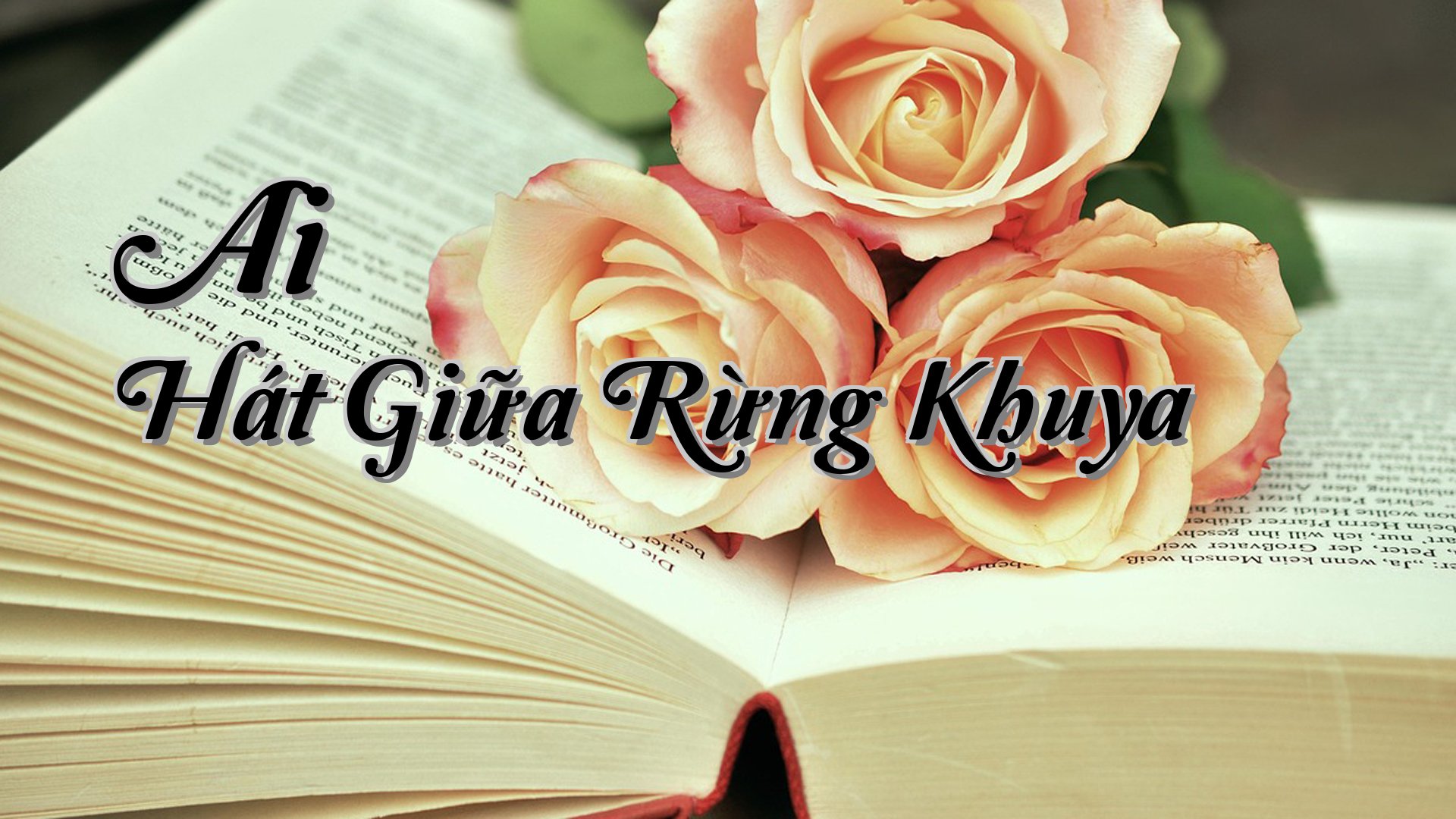 cover-Ai Hát Giữa Rừng Khuya