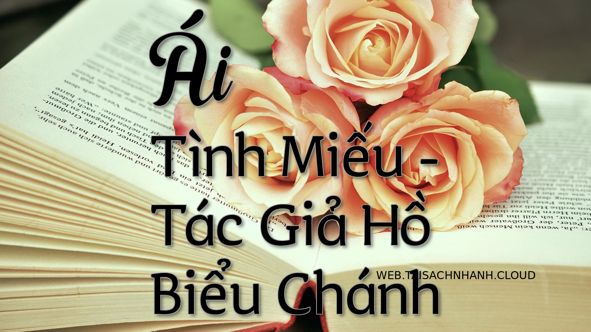 Cover Ai Tinh Mieu.jpg