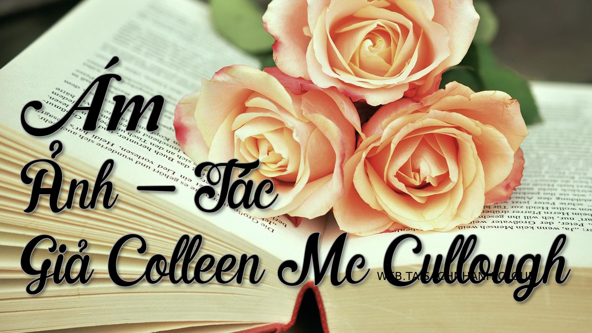 Cover Am Anh Den9883.jpg