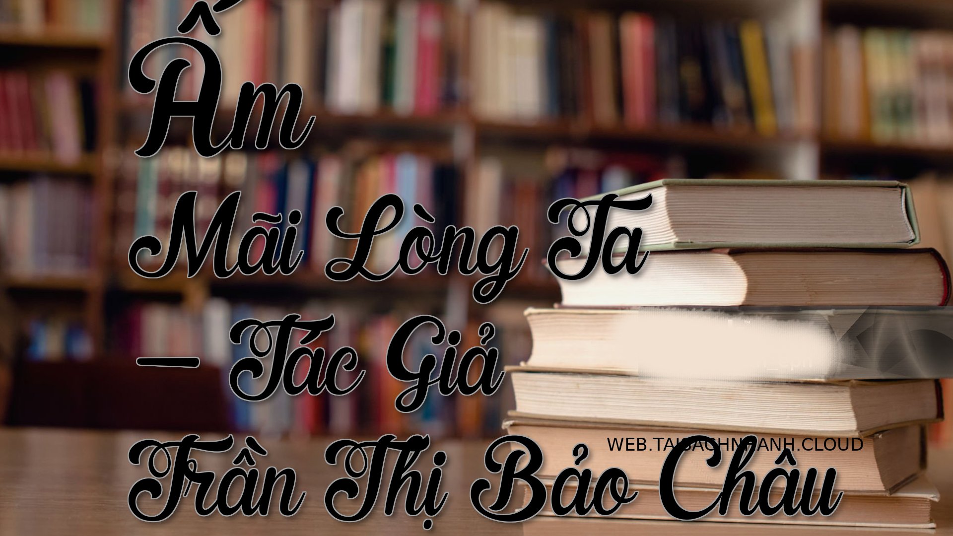 Cover Am Mai Long Ta.jpg