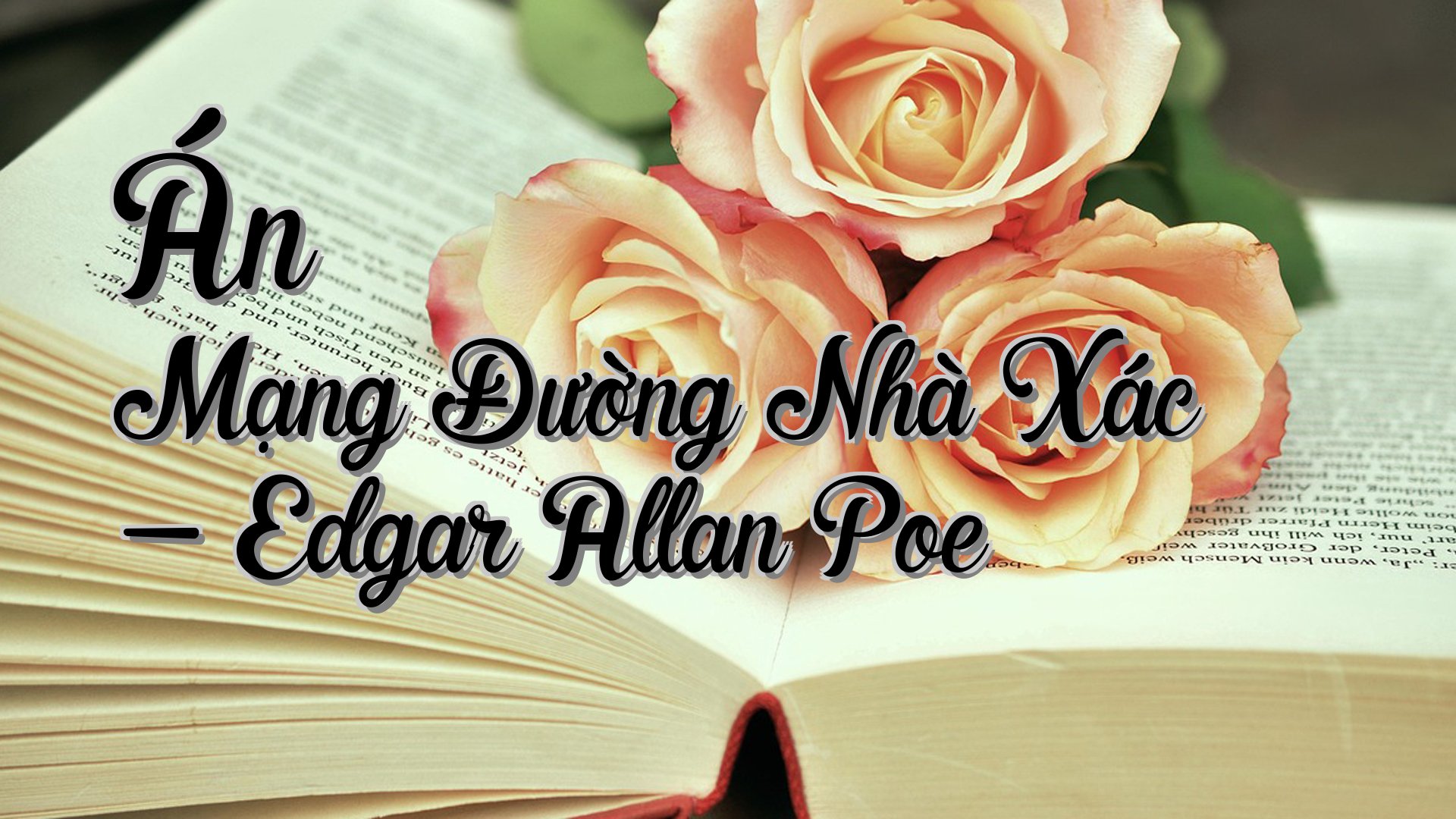 cover-Án Mạng Đường Nhà Xác - Edgar Allan Poe
