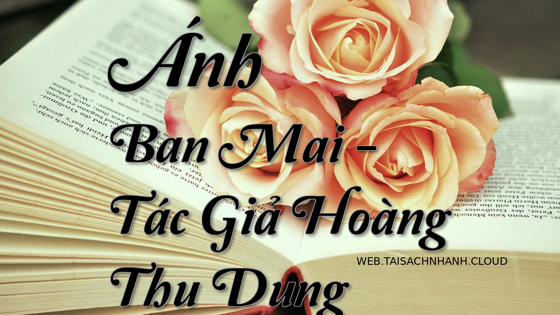 Cover Anh Ban Mai.jpg