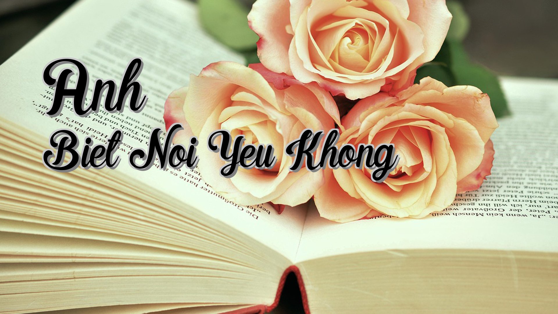 cover-Anh Biet Noi Yeu Khong