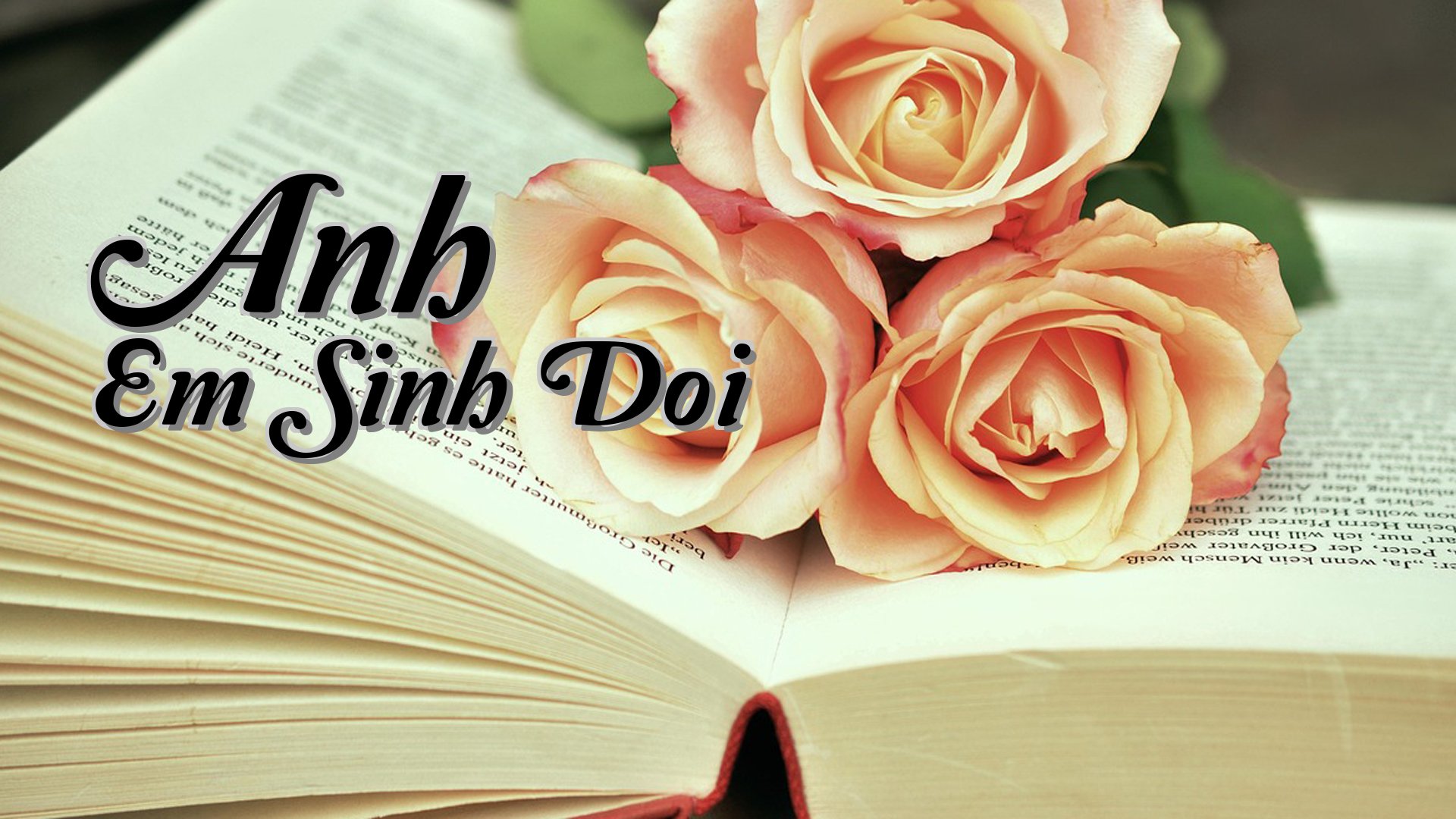 cover-Anh Em Sinh Doi