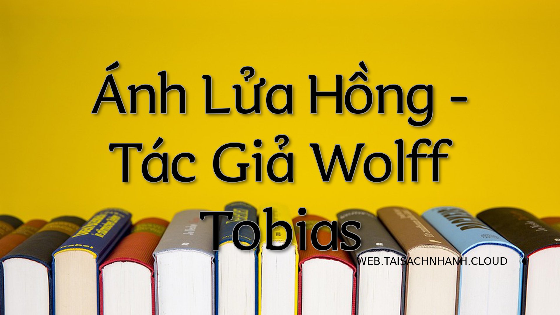 Cover Anh Lua Hong.jpg