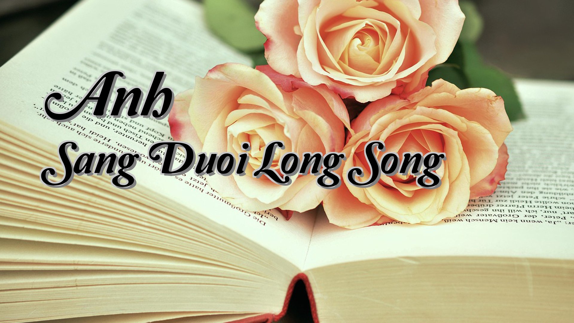 Cover image for Anh Sang Duoi Long Song