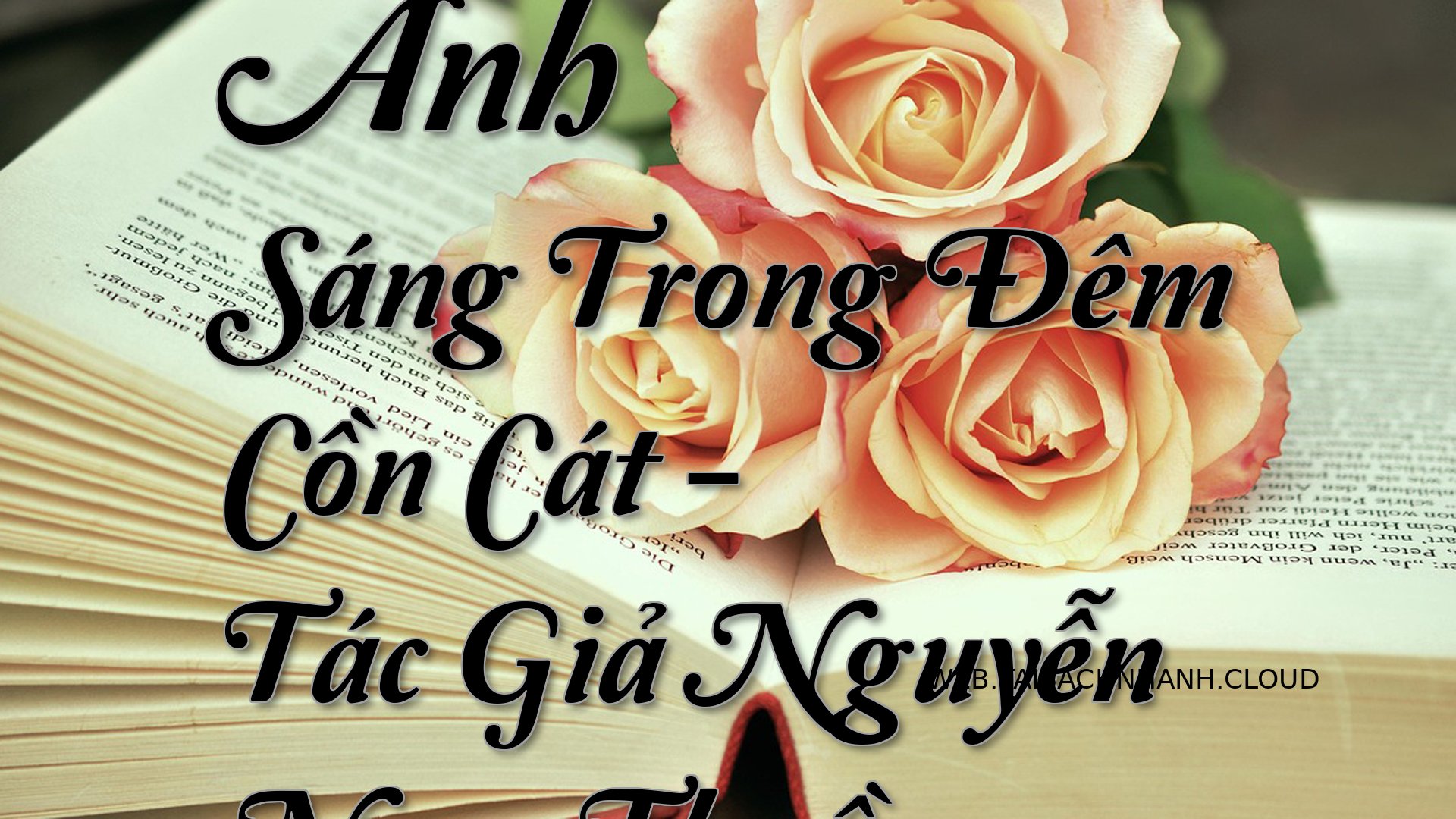 Cover Anh Sang Trong Dem C.jpg