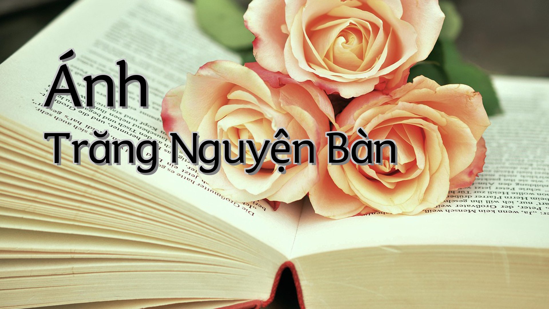 cover-Ánh Trăng Nguyện Bàn