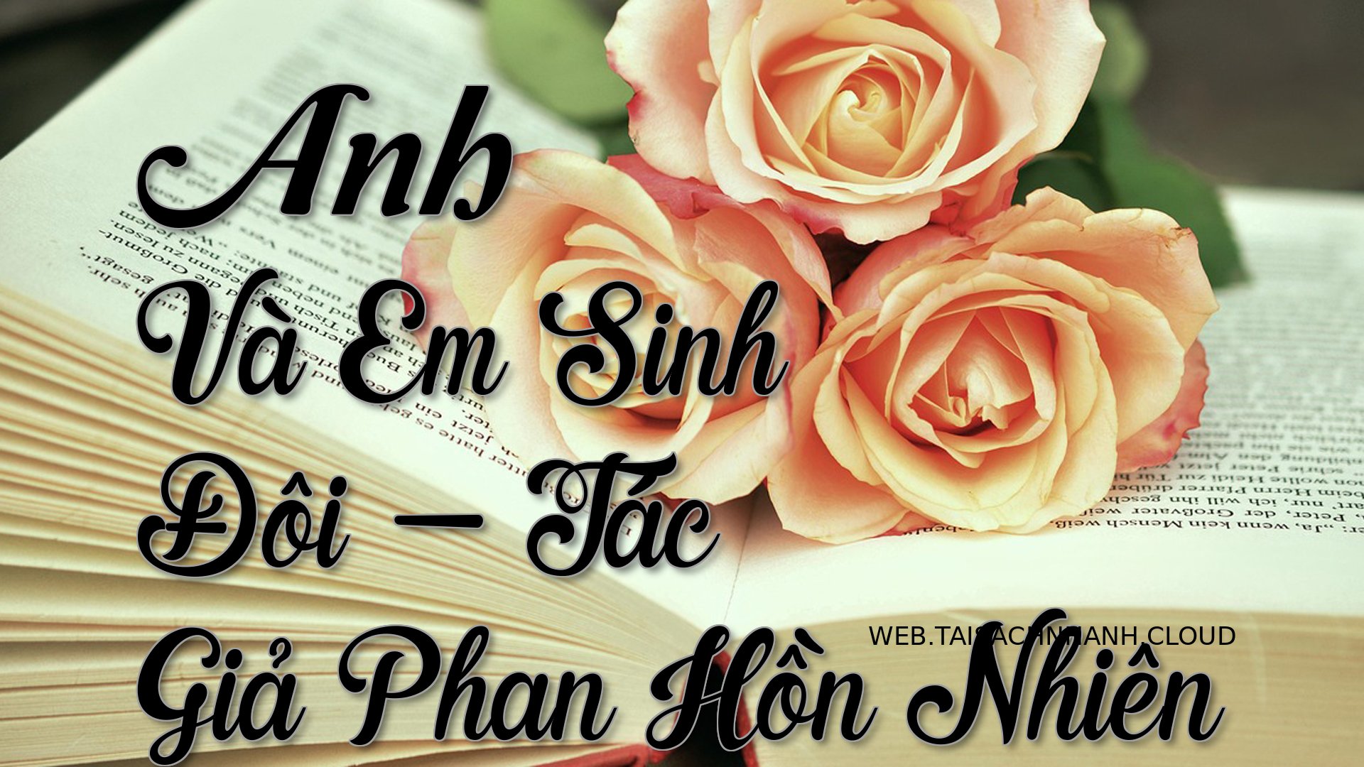 Cover Anh Va Em Sinh Doi.jpg