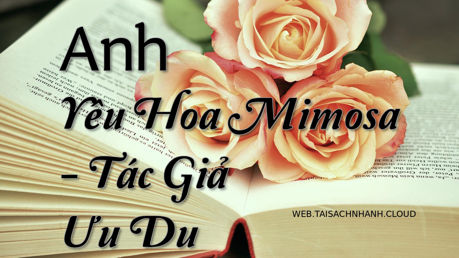 Cover Anh Yeu Hoa Mimosa.jpg