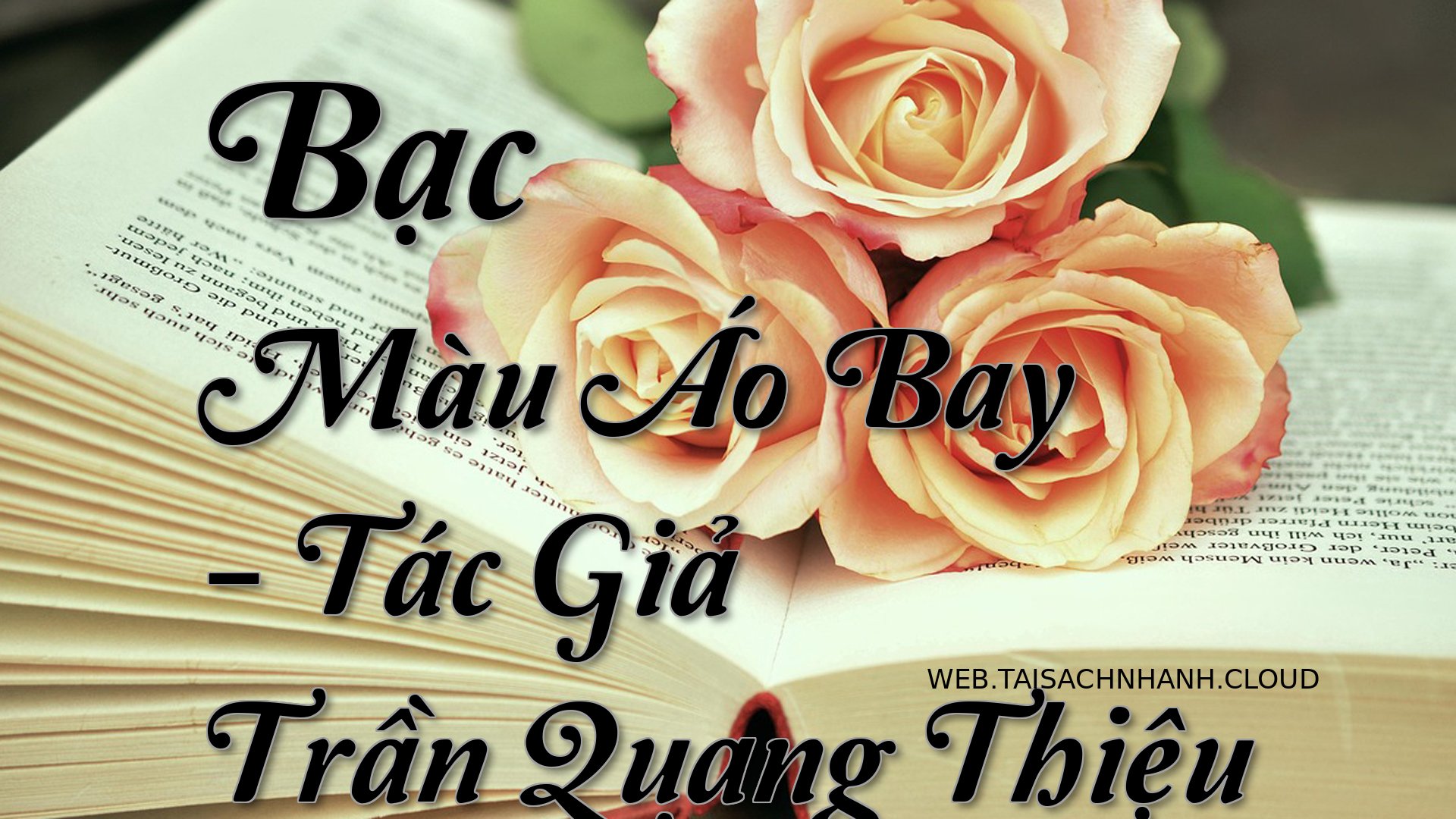 Cover Bac Mau Ao Bay.jpg