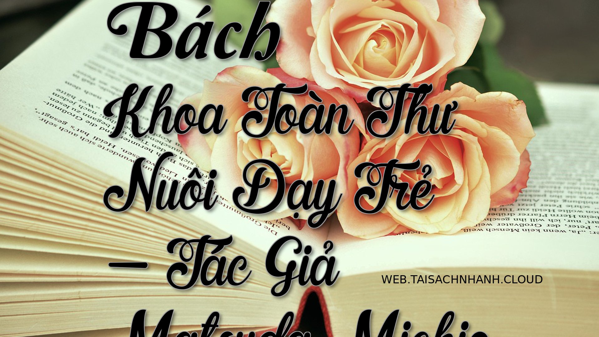 Cover Bach Khoa Toan Thu N.jpg