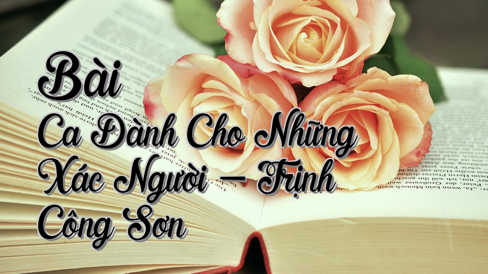 cover-Bài Ca Dành Cho Những Xác Người - Trịnh Công Sơn