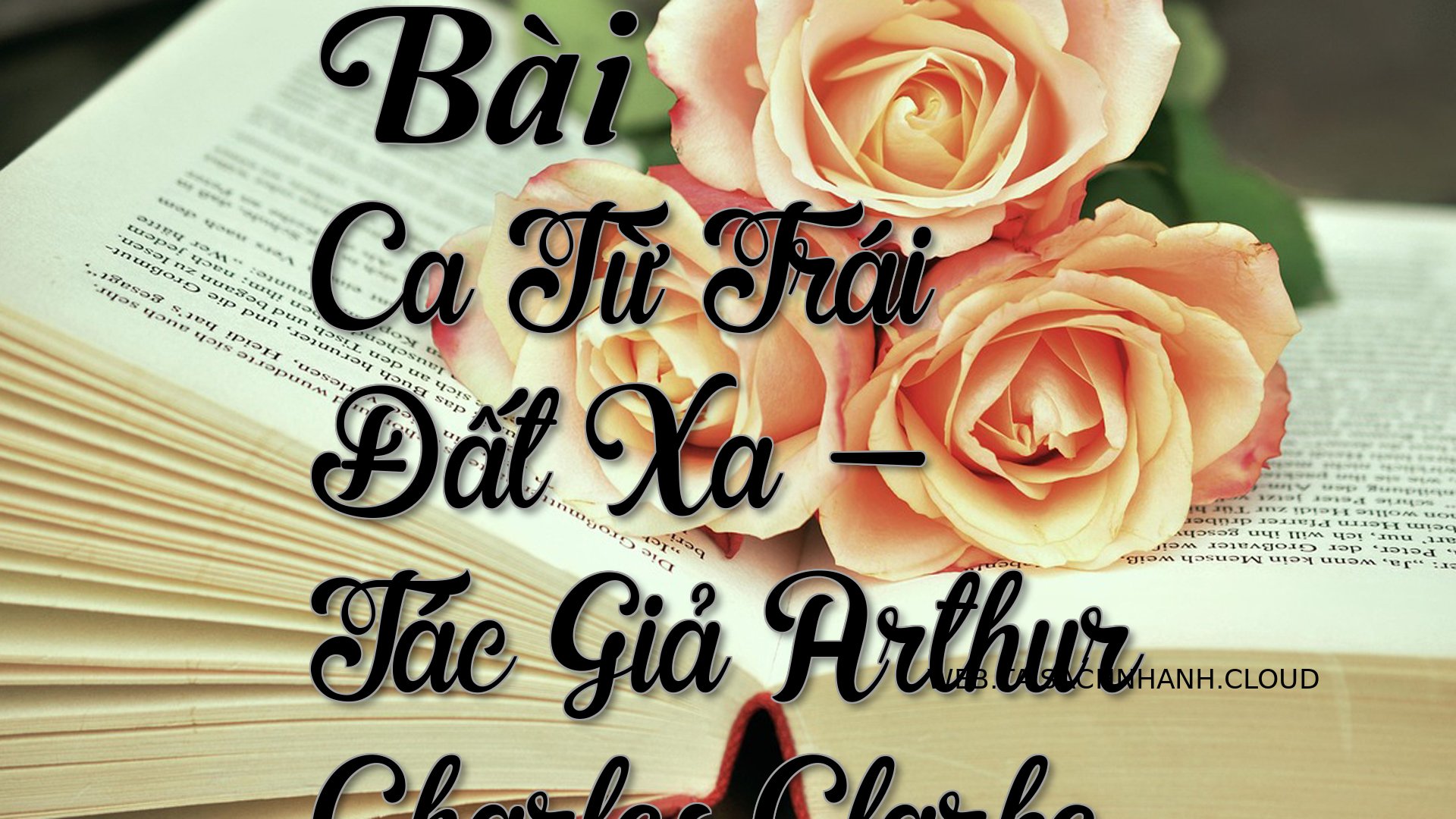 Cover Bai Ca Tu Trai Dat X.jpg