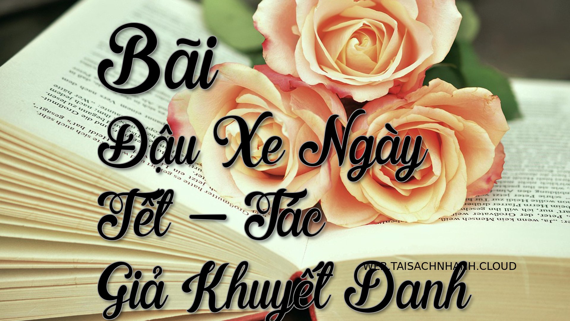 Cover Bai Dau Xe Ngay Tet.jpg