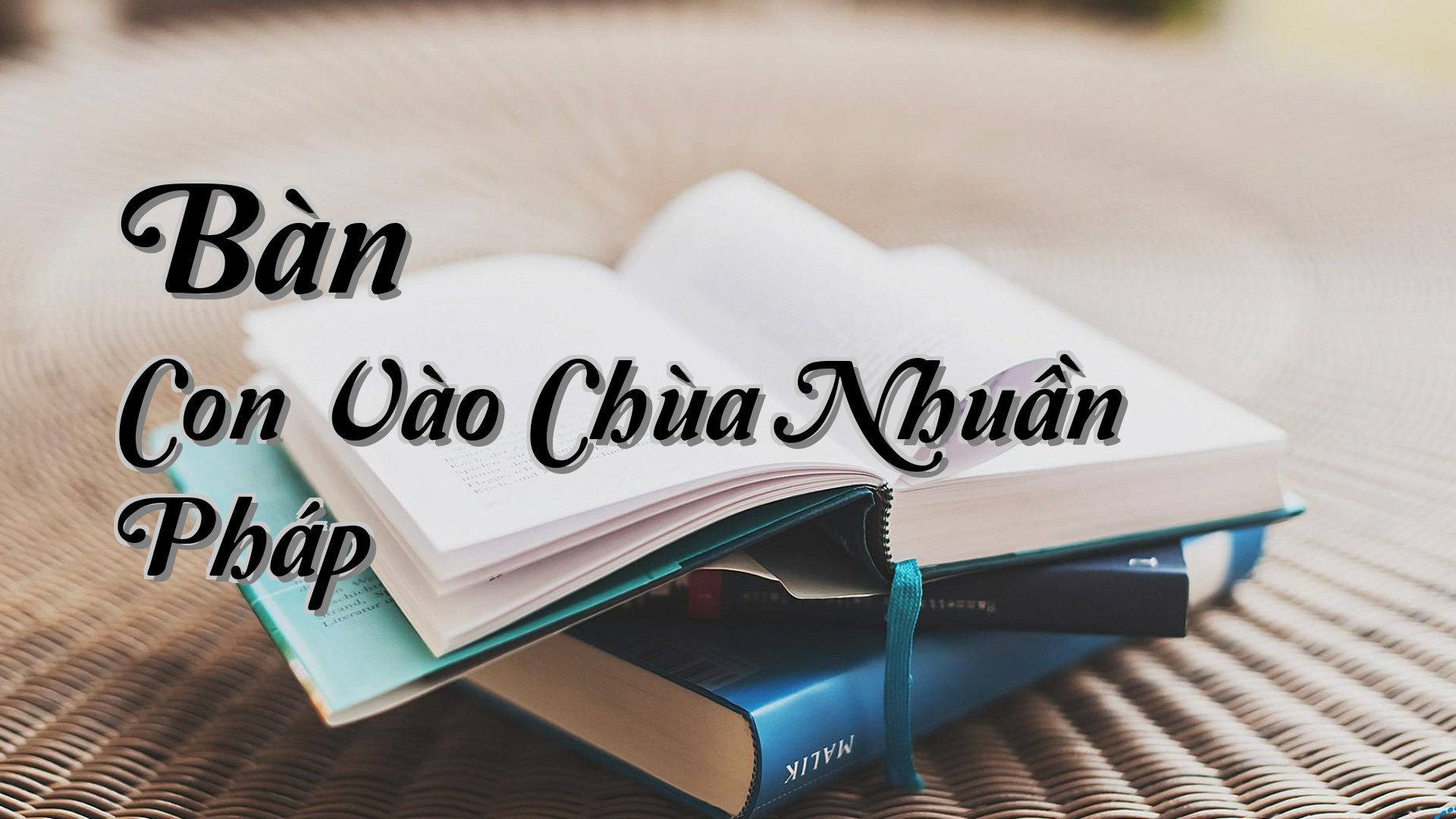 cover-Bàn Con Vào Chùa Nhuần Pháp