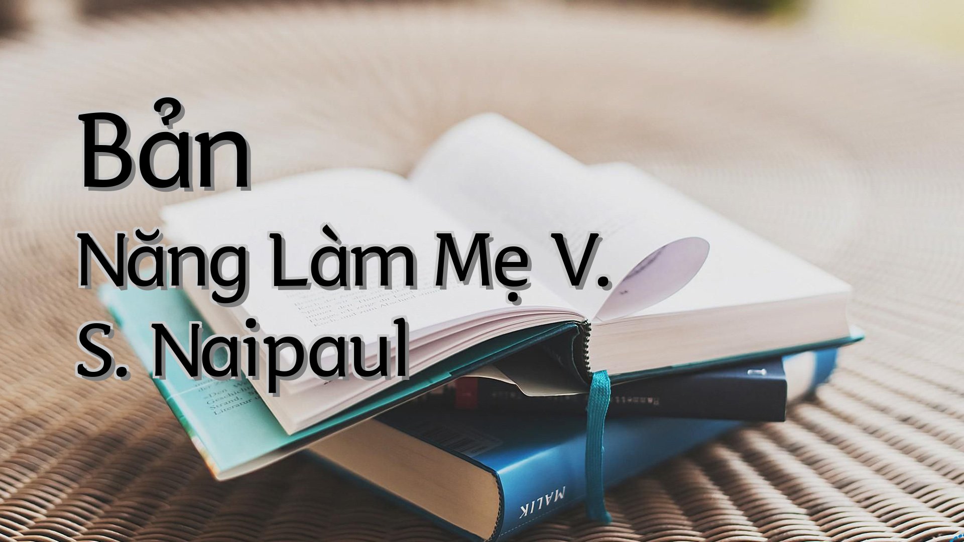 cover-Bản Năng Làm Mẹ V. S. Naipaul