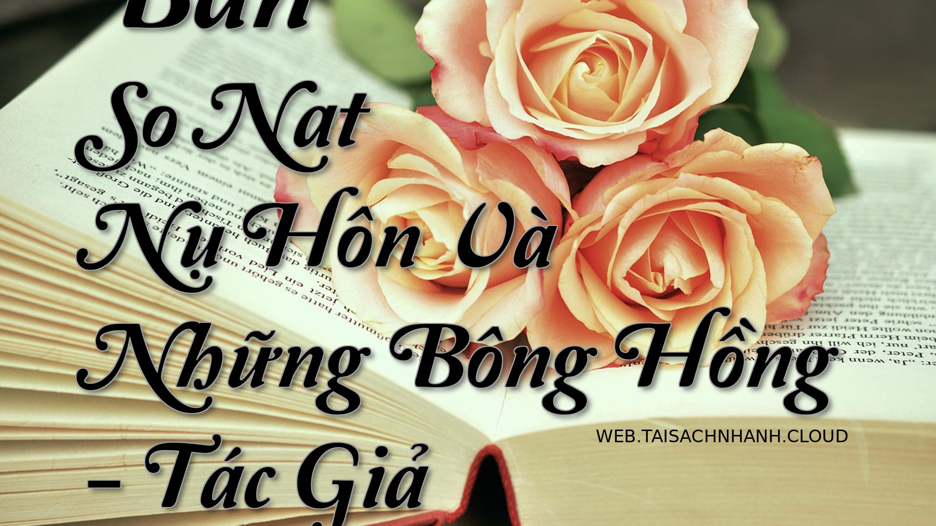 Cover Ban So Nat Nu Hon .jpg