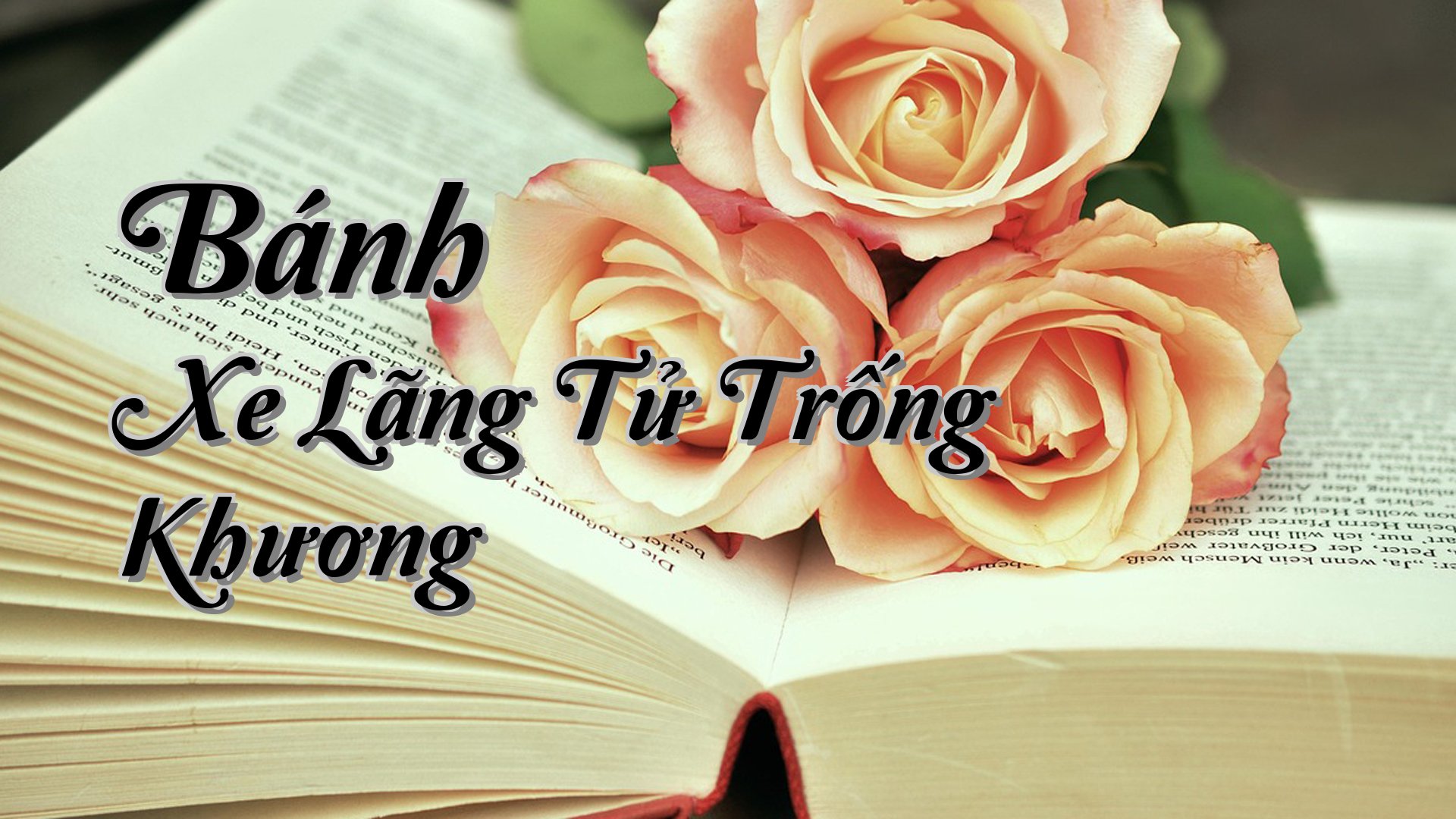 cover-Bánh Xe Lãng Tử Trống Khương