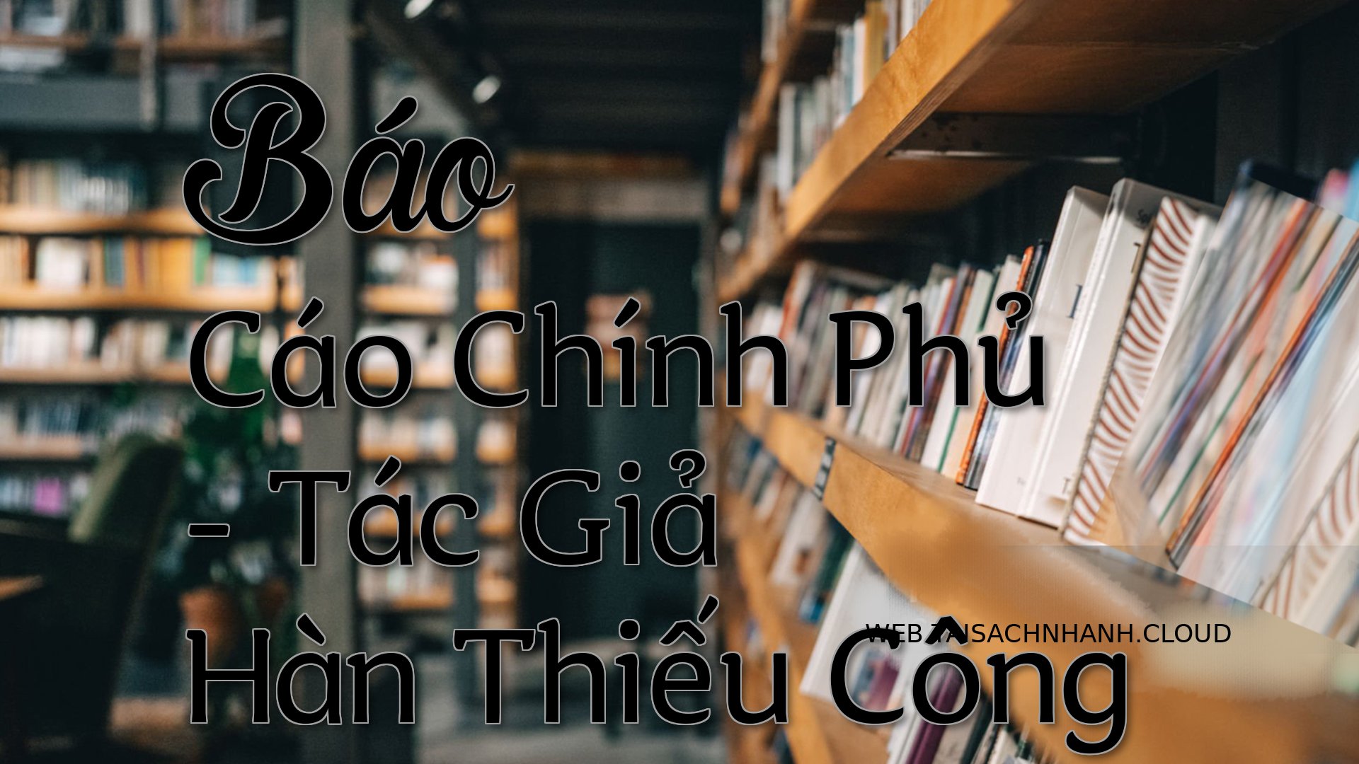 Cover Bao Cao Chinh Phu.jpg