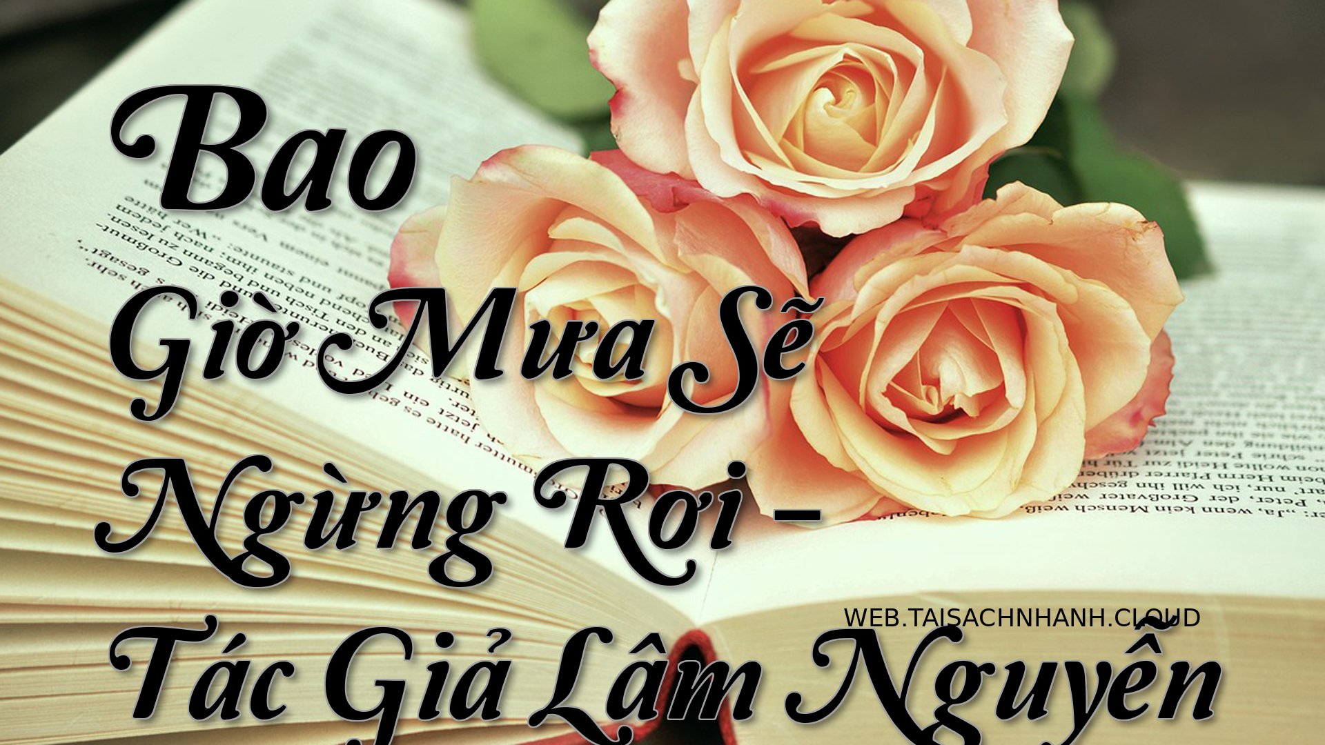 Cover Bao Gio Mua Se Ngung.jpg