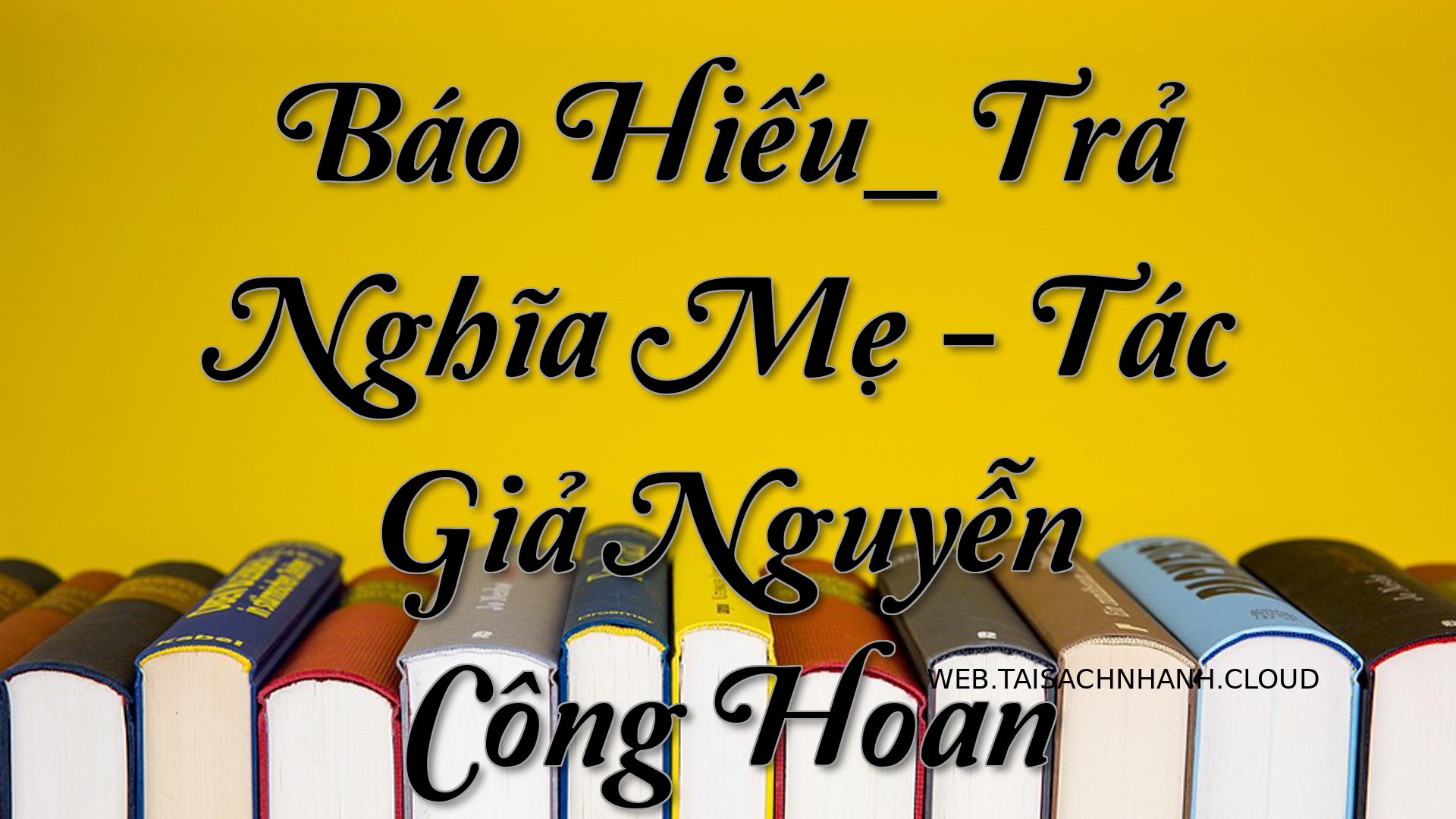 Cover Bao Hieu Tra Nghia .jpg