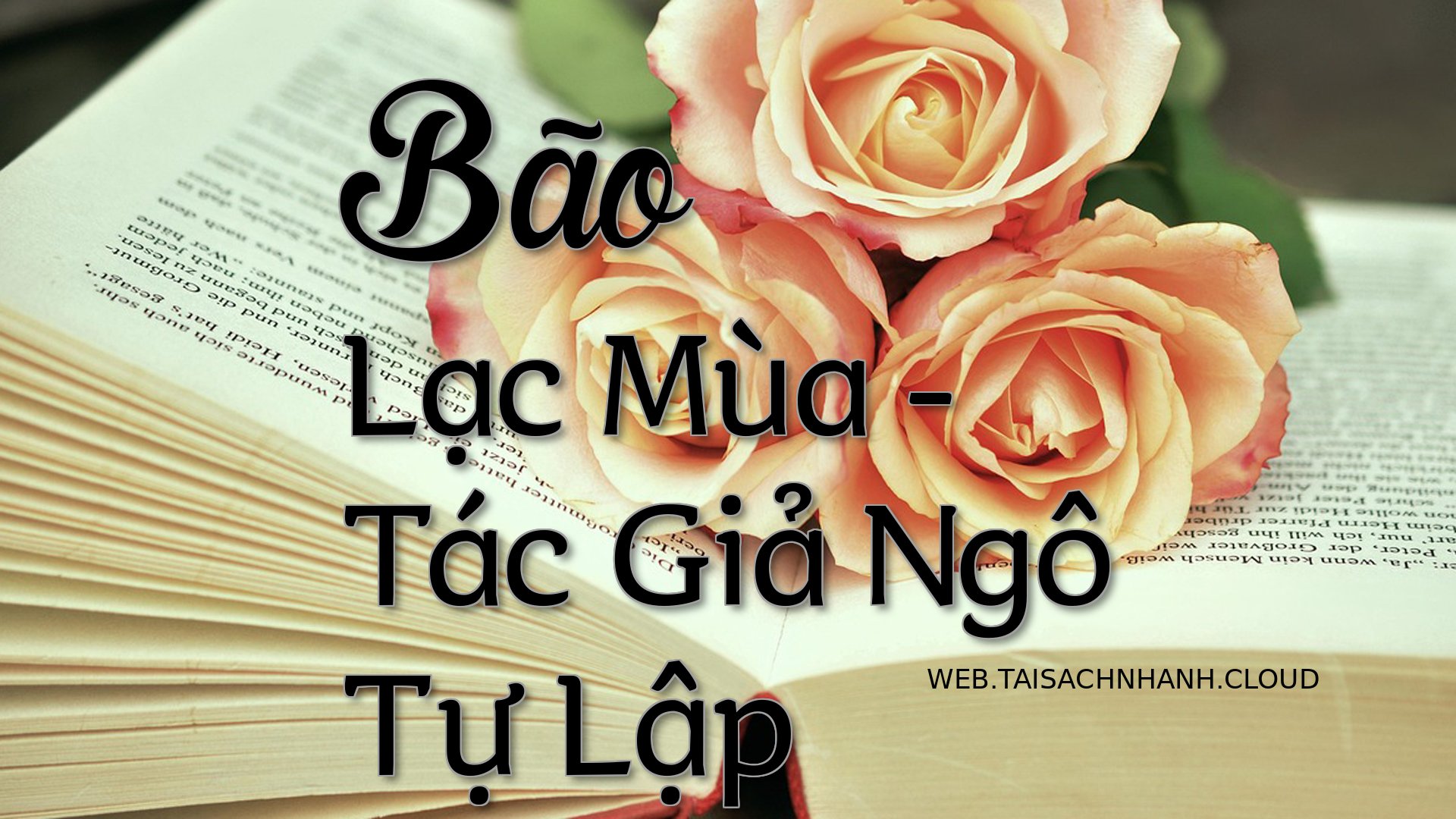 Cover Bao Lac Mua.jpg