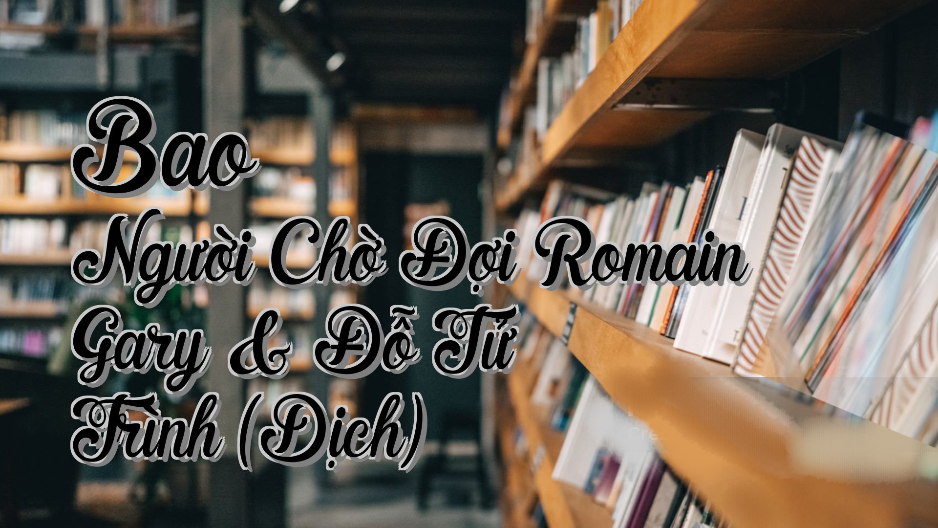 Cover image for Bao Người Chờ Đợi Romain Gary & Đỗ Tử Trình (Dịch)