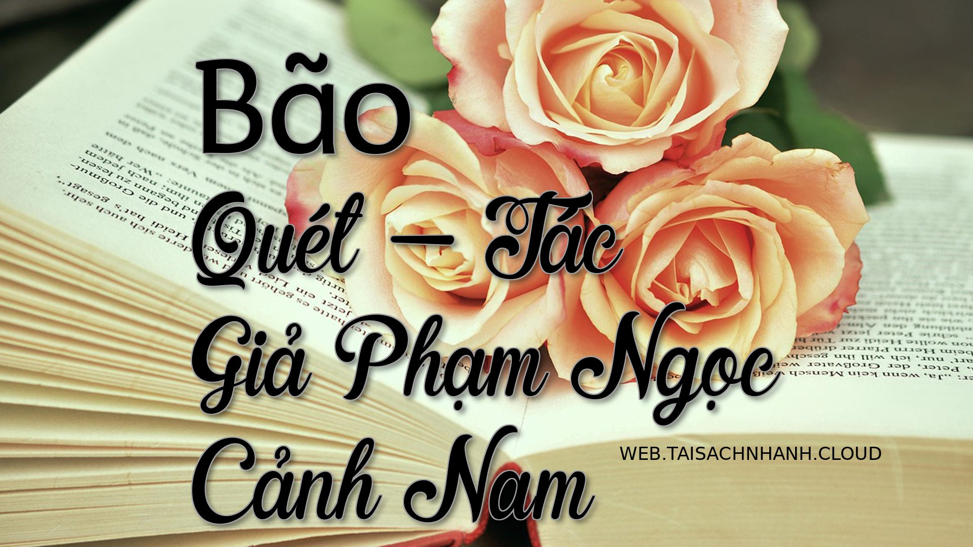 Cover Bao Quet.jpg