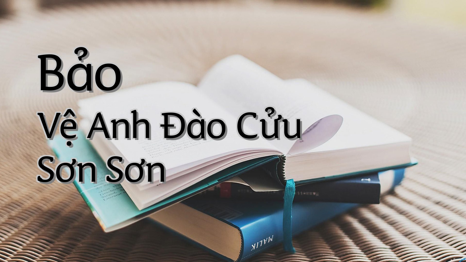 cover-Bảo Vệ Anh Đào Cửu Sơn Sơn