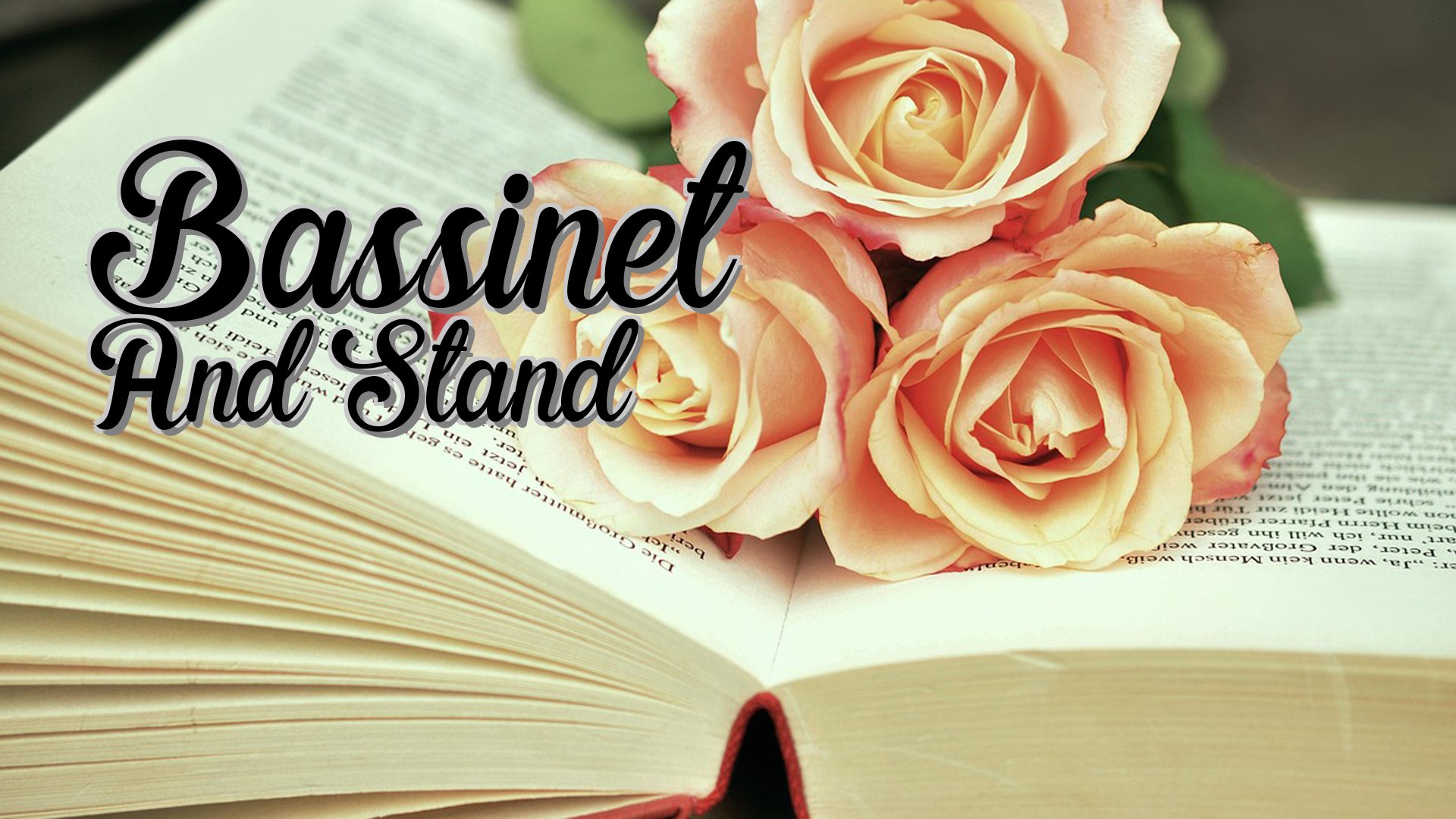 cover-Bassinet And Stand