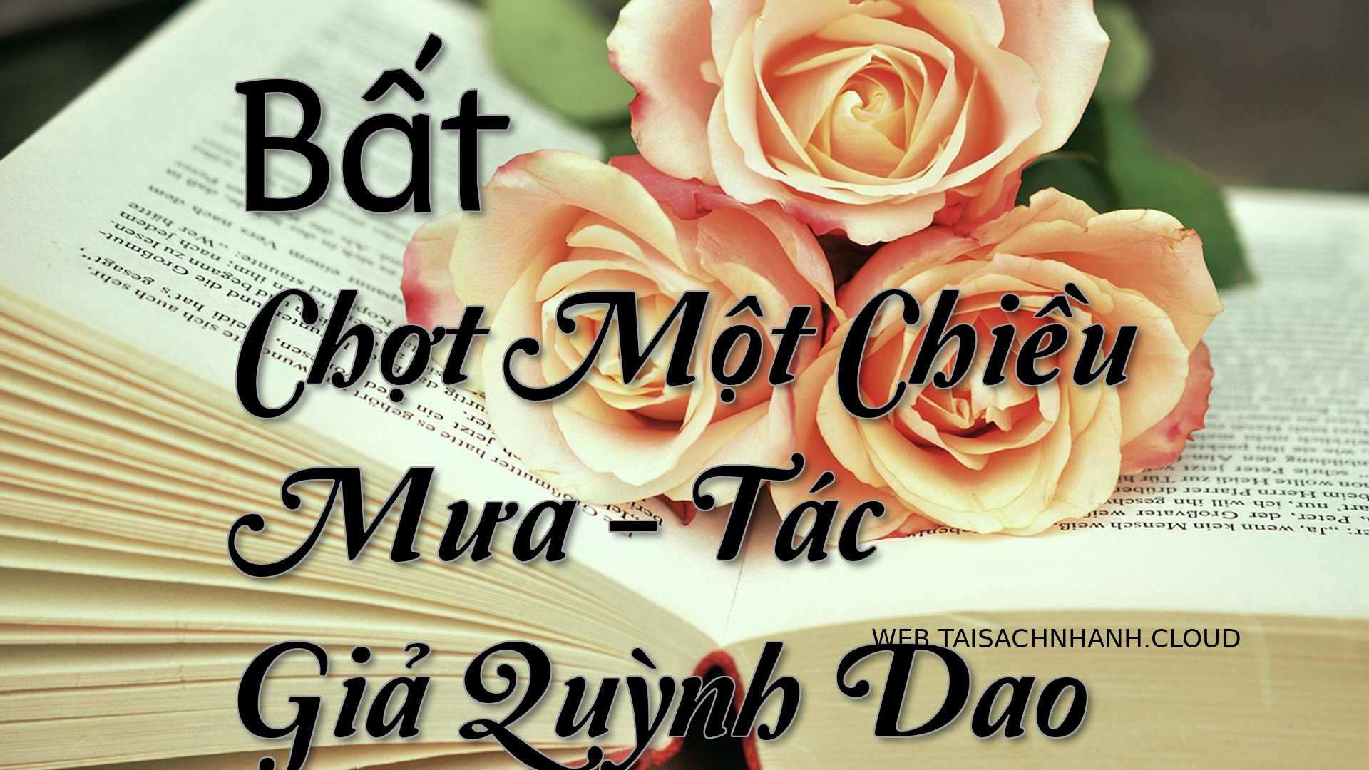 Cover Bat Chot Mot Chieu M.jpg