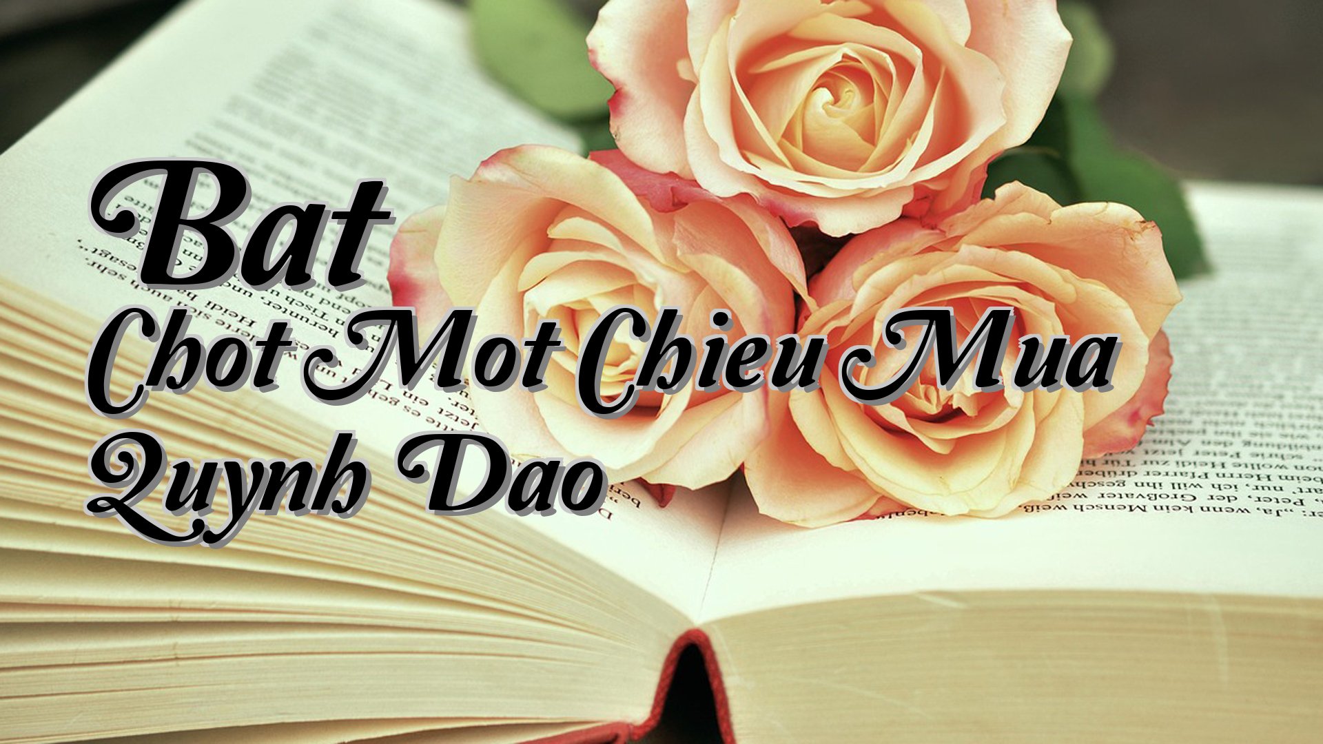 cover-Bat Chot Mot Chieu Mua Quynh Dao