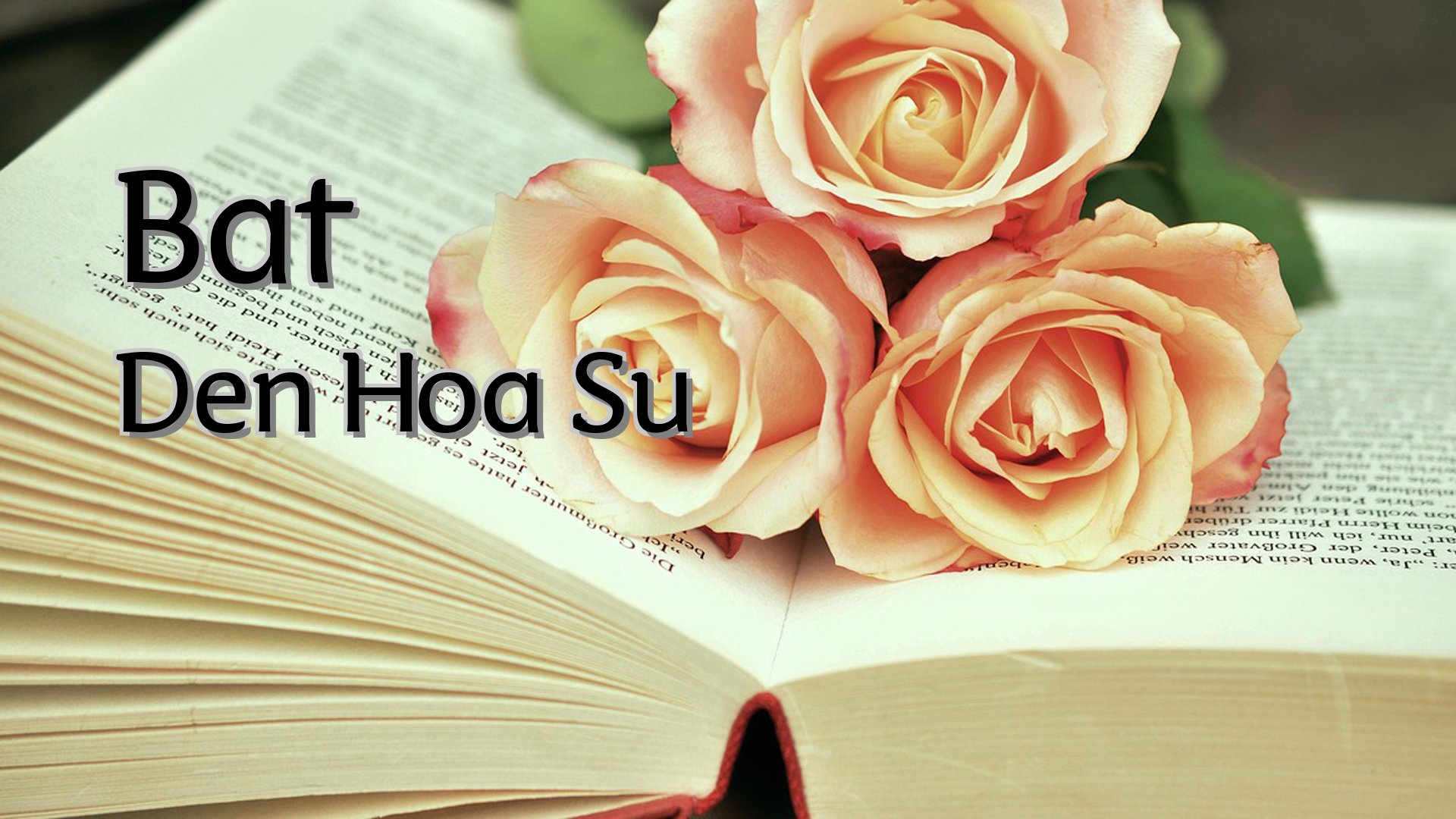 Cover image for Bat Den Hoa Su