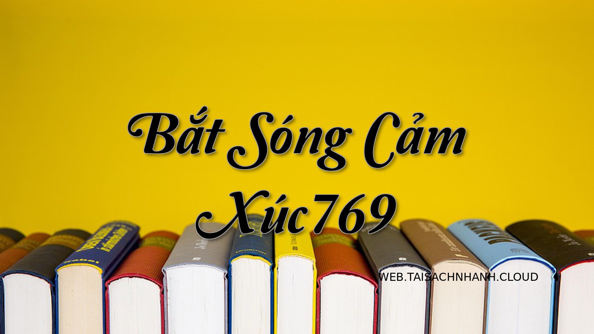 Cover Bat Song Cam Xuc769.jpg