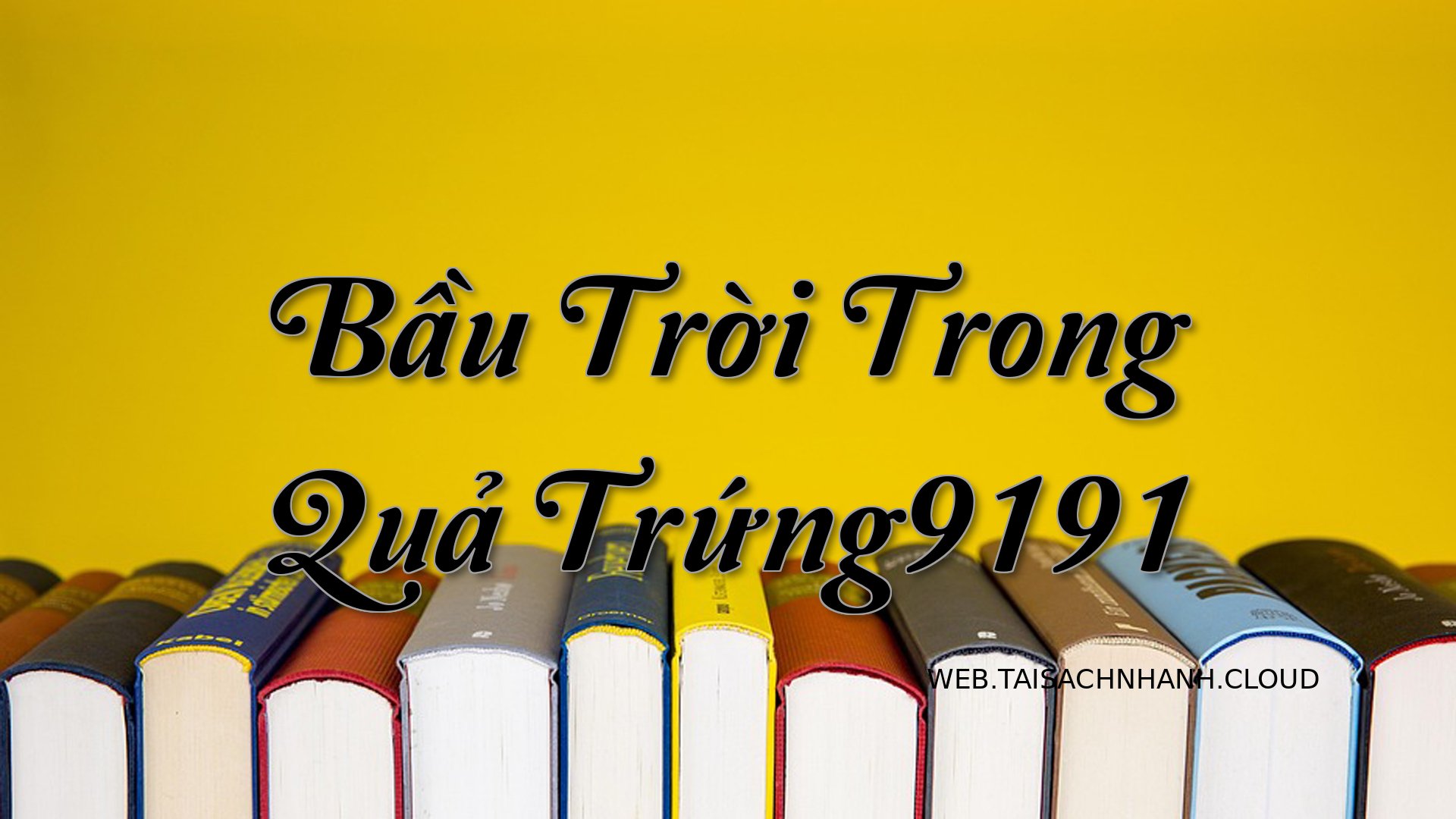 Cover Bau Troi Trong Qua T.jpg