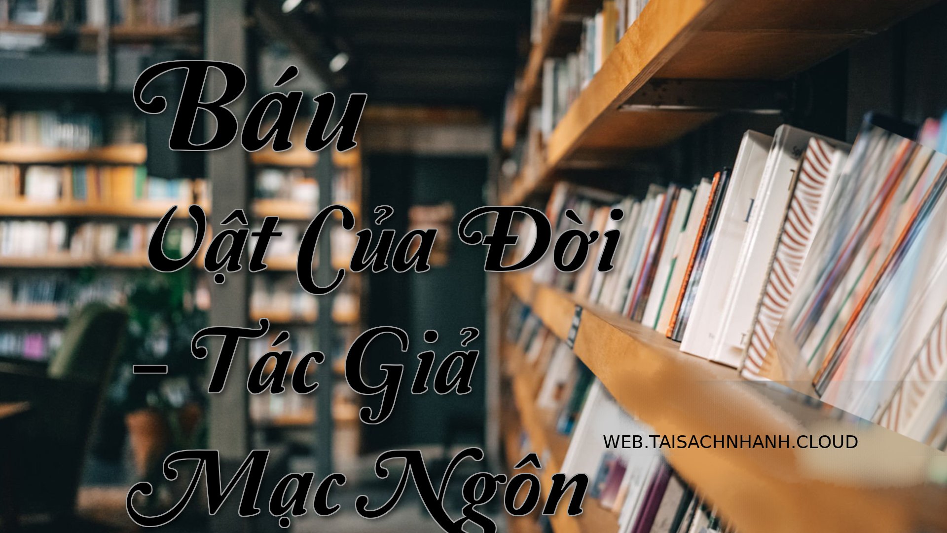 Cover Bau Vat Cua Doi.jpg